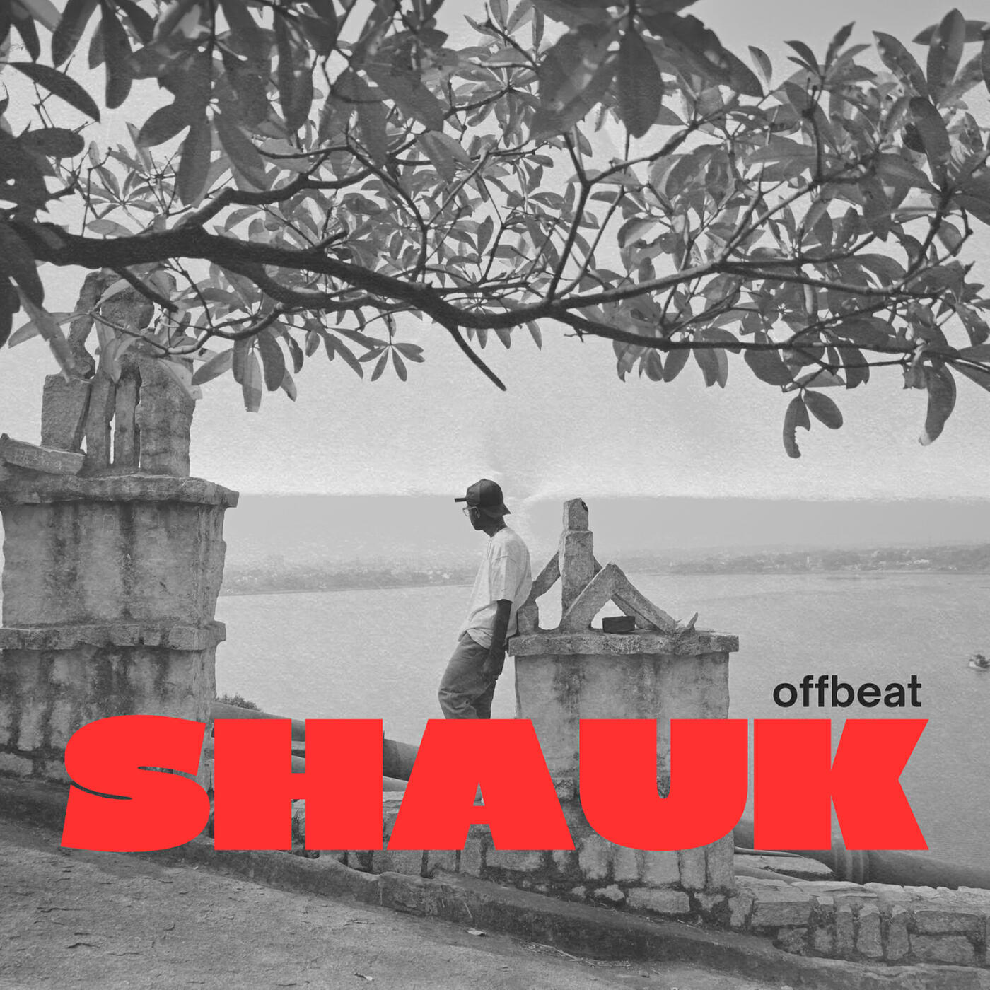 Релиз Shauk