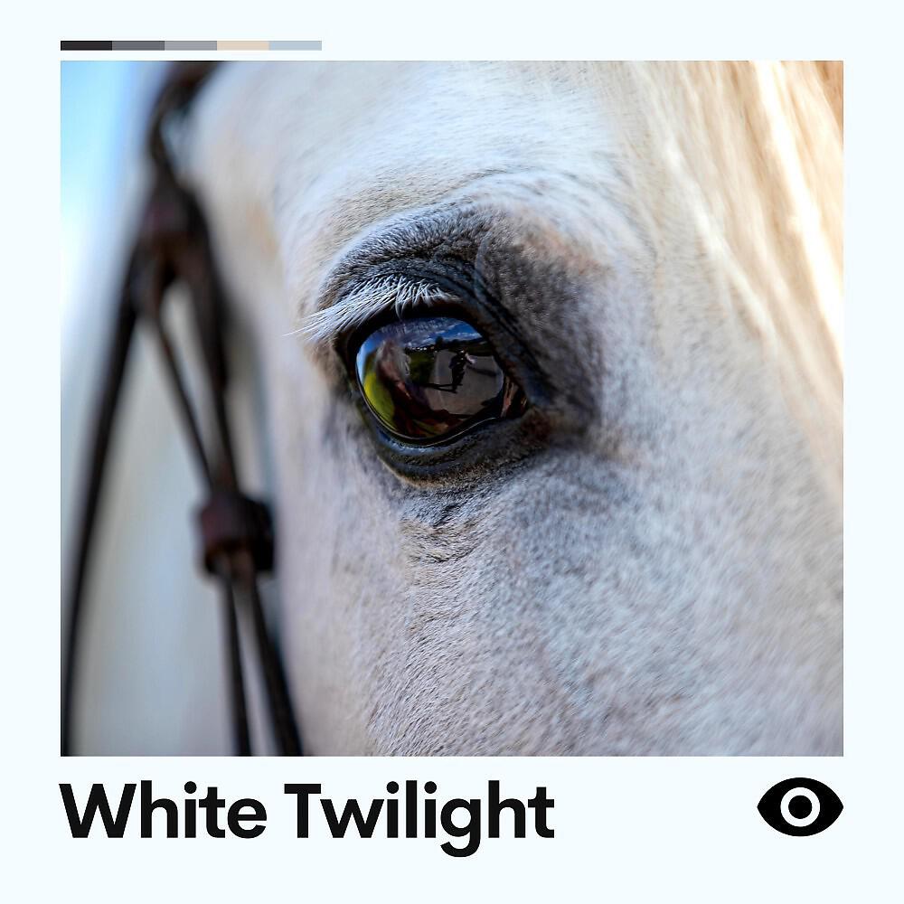 Релиз White Twilight