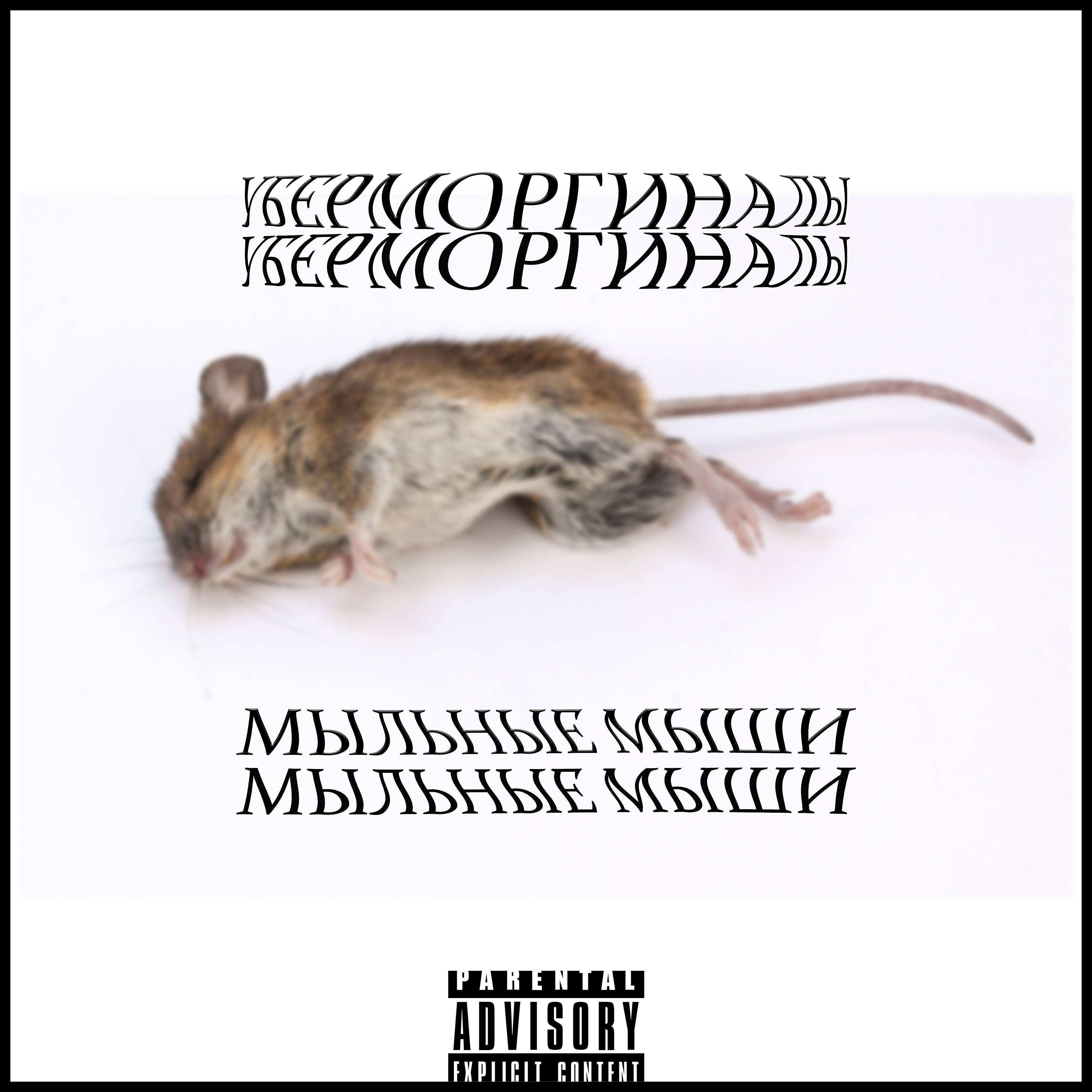 Релиз Мыльные мыши