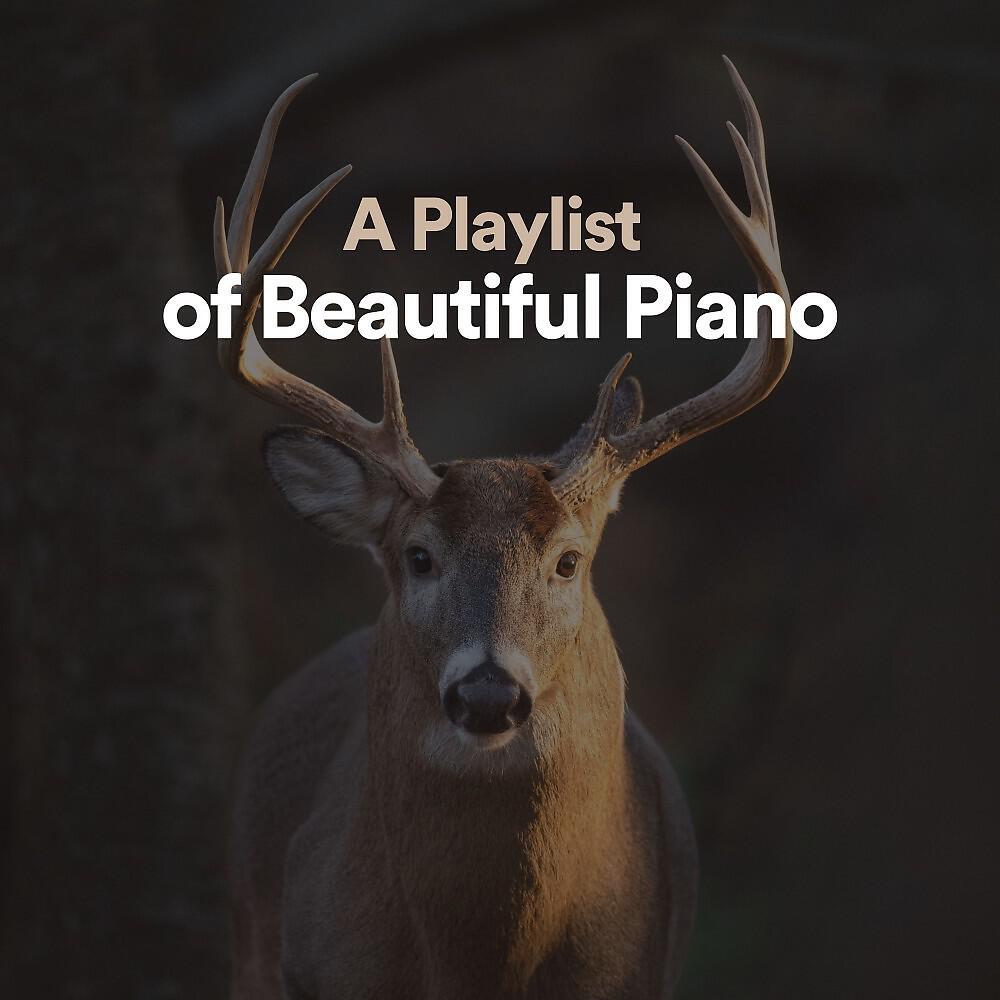 Релиз A Playlist of Beautiful Piano