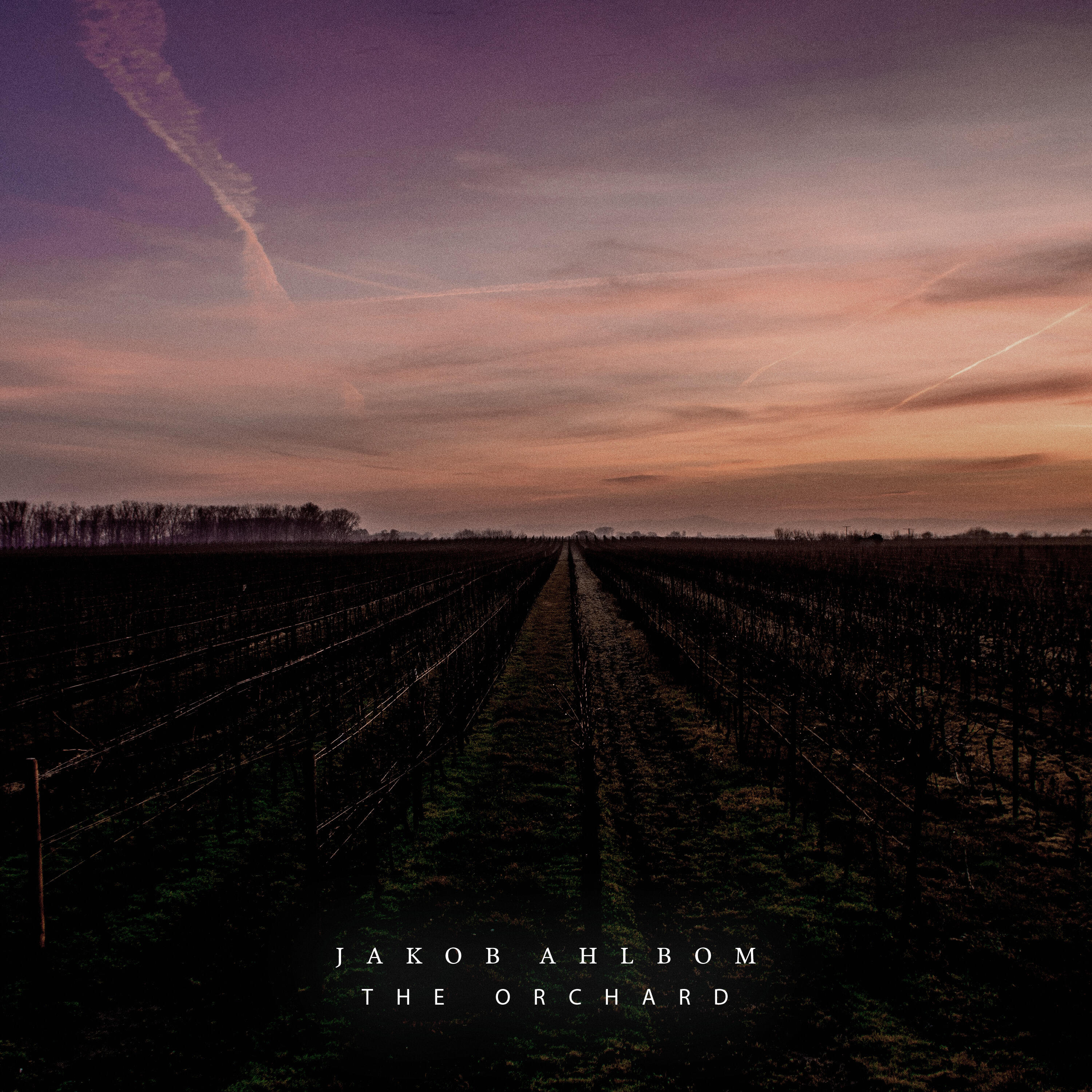 Релиз The Orchard