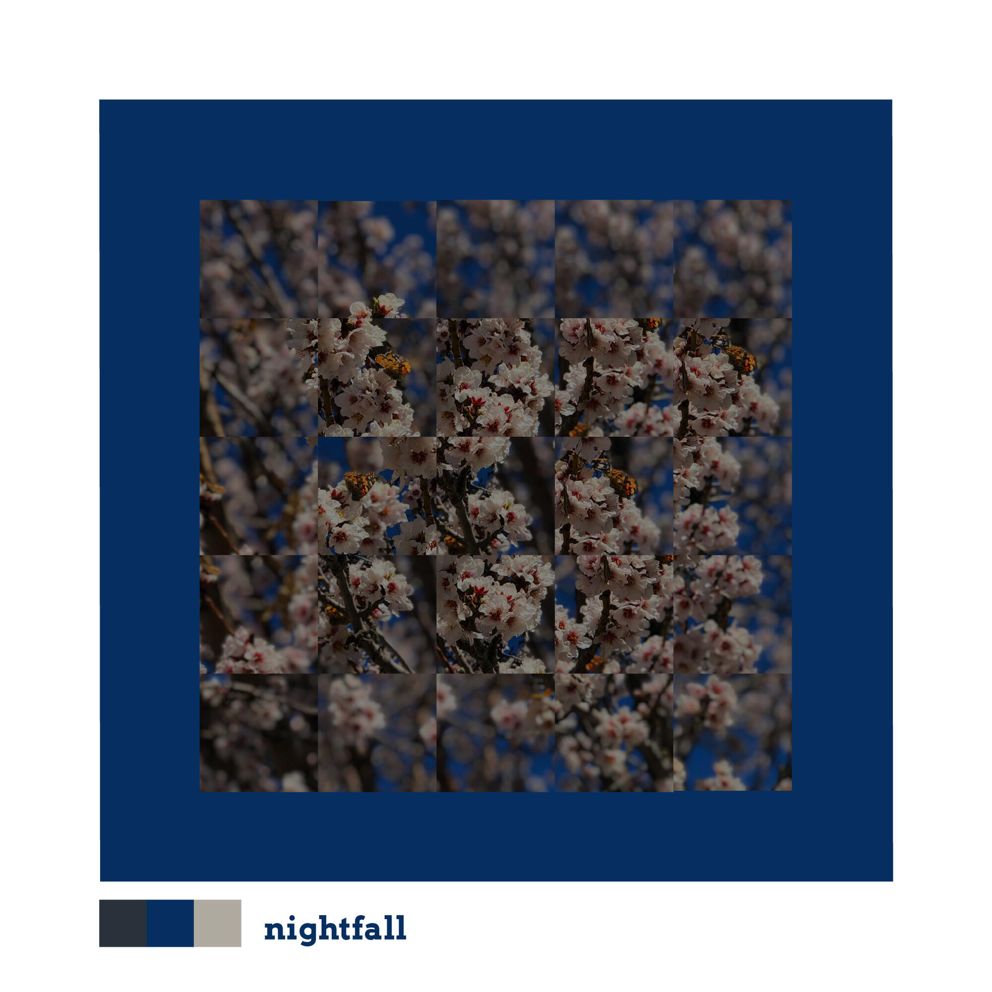 Релиз honeycomb buzz (noise)