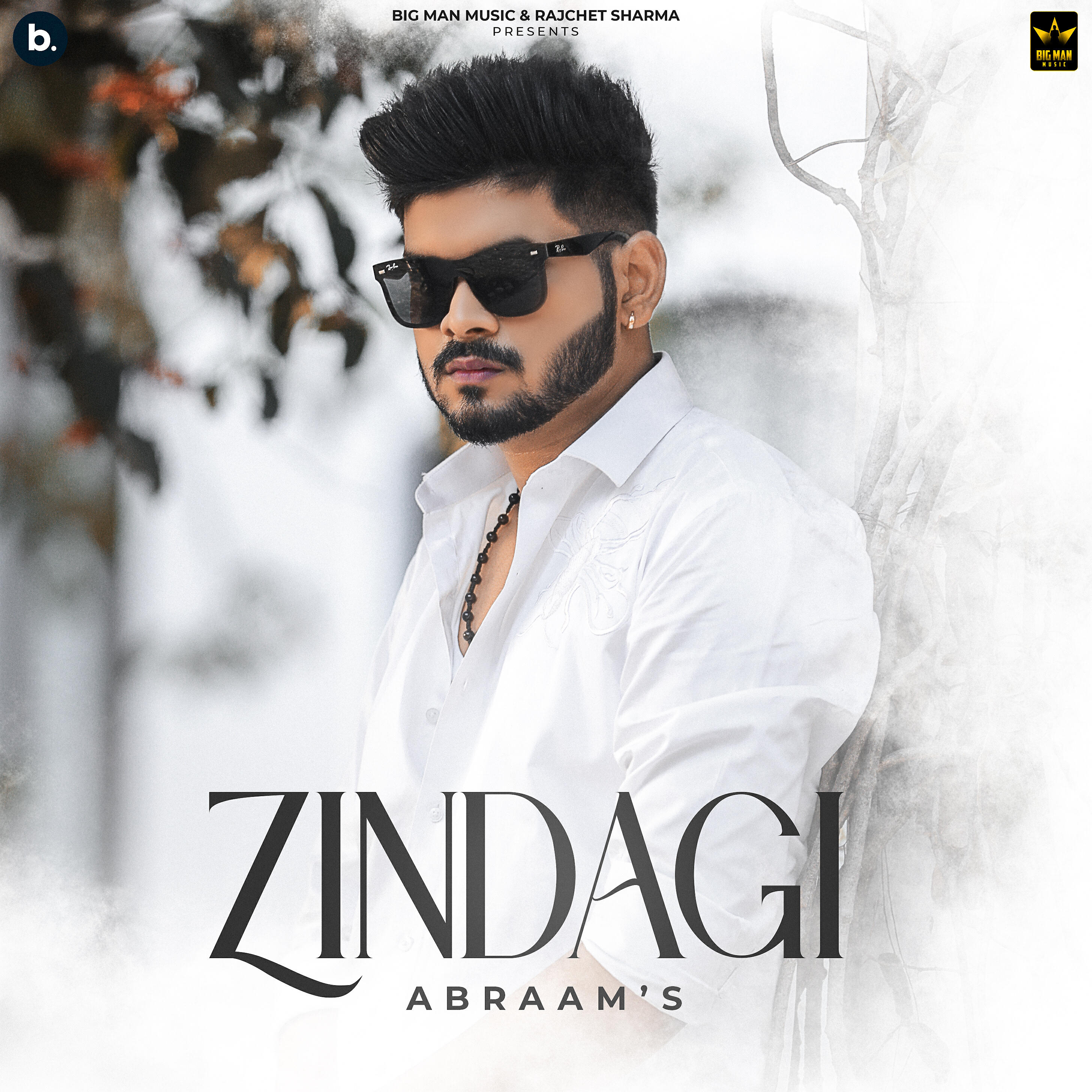 Релиз Zindagi