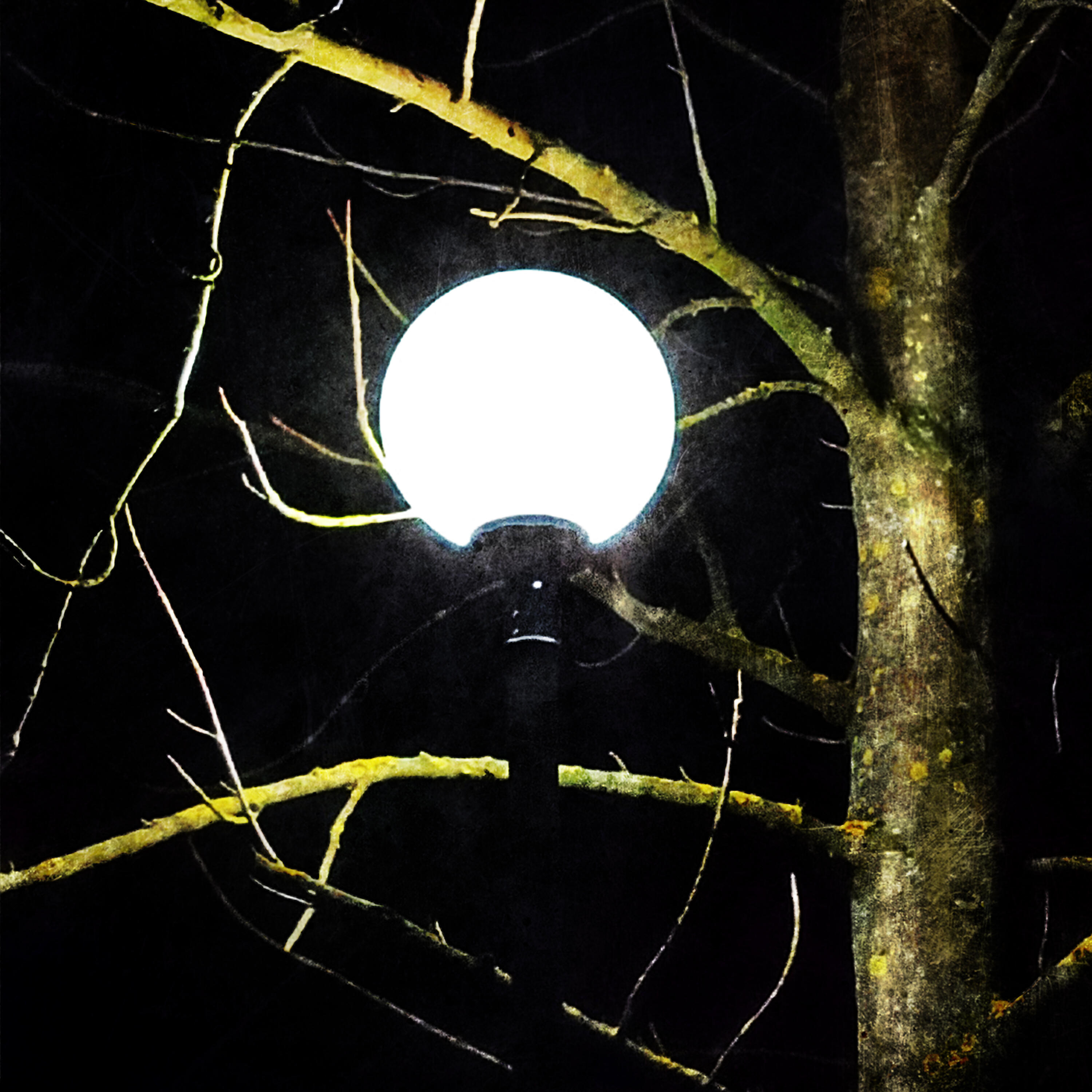 Релиз BEAUTIFUL NIGHT