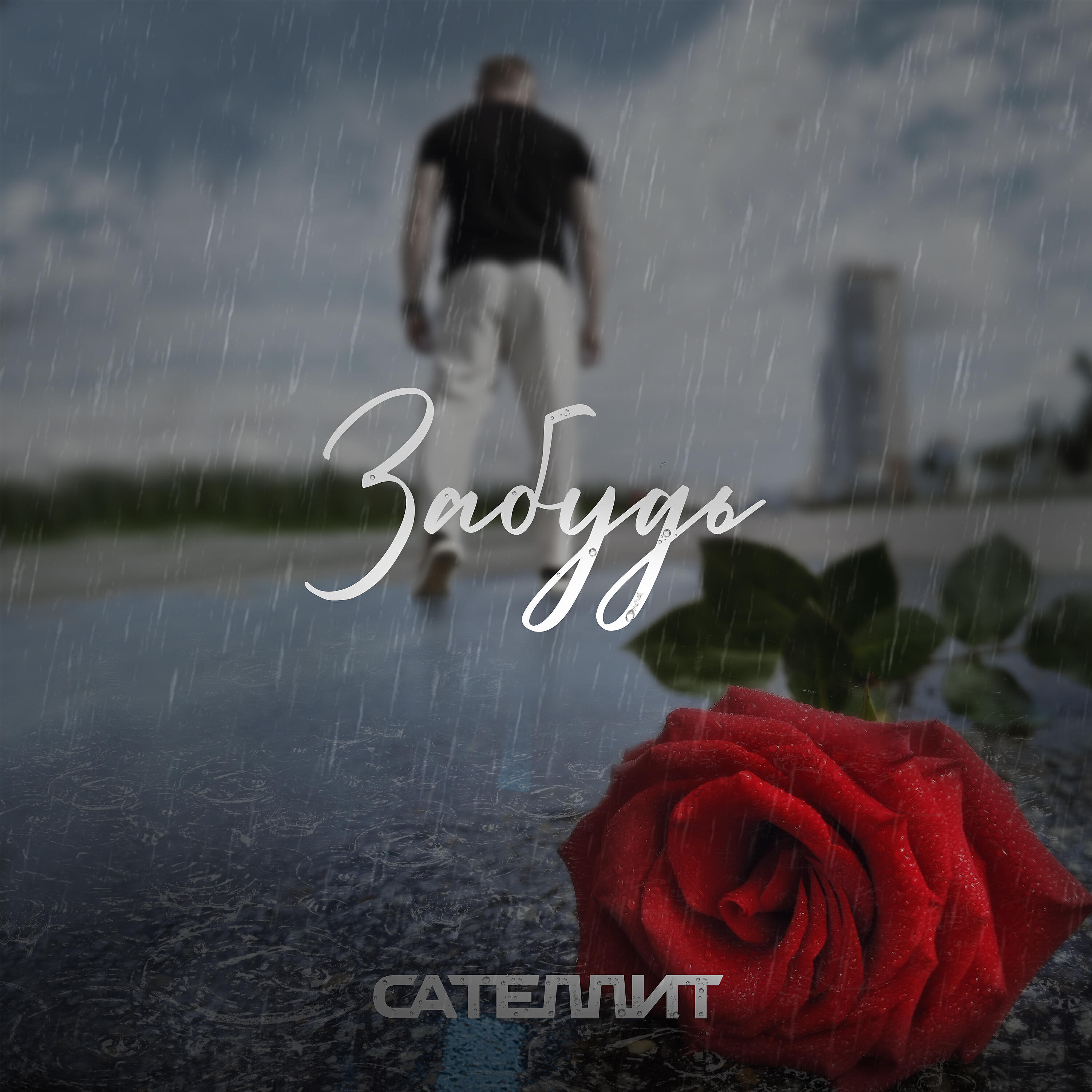 Постер альбома Забудь