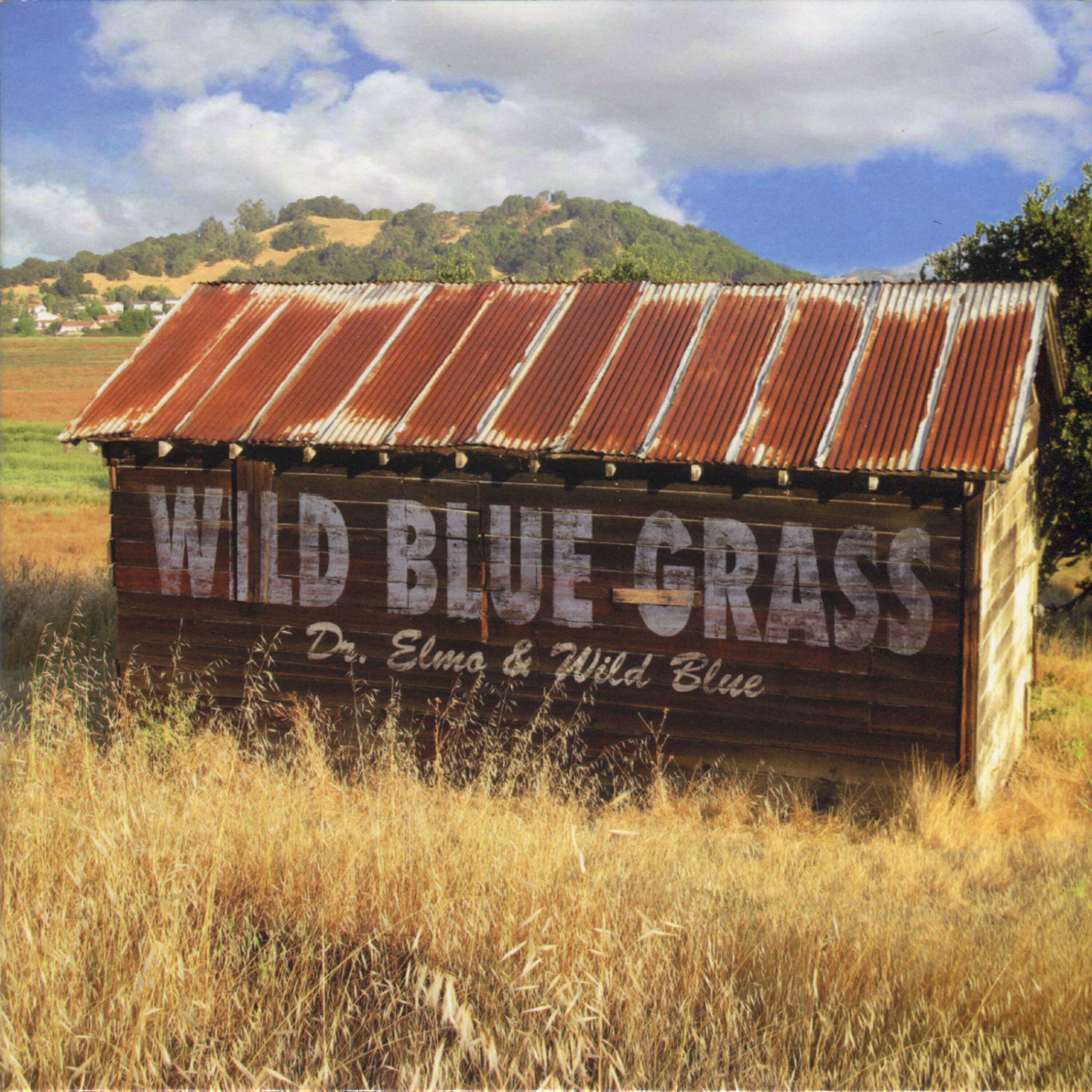 Релиз Wild Blue Grass