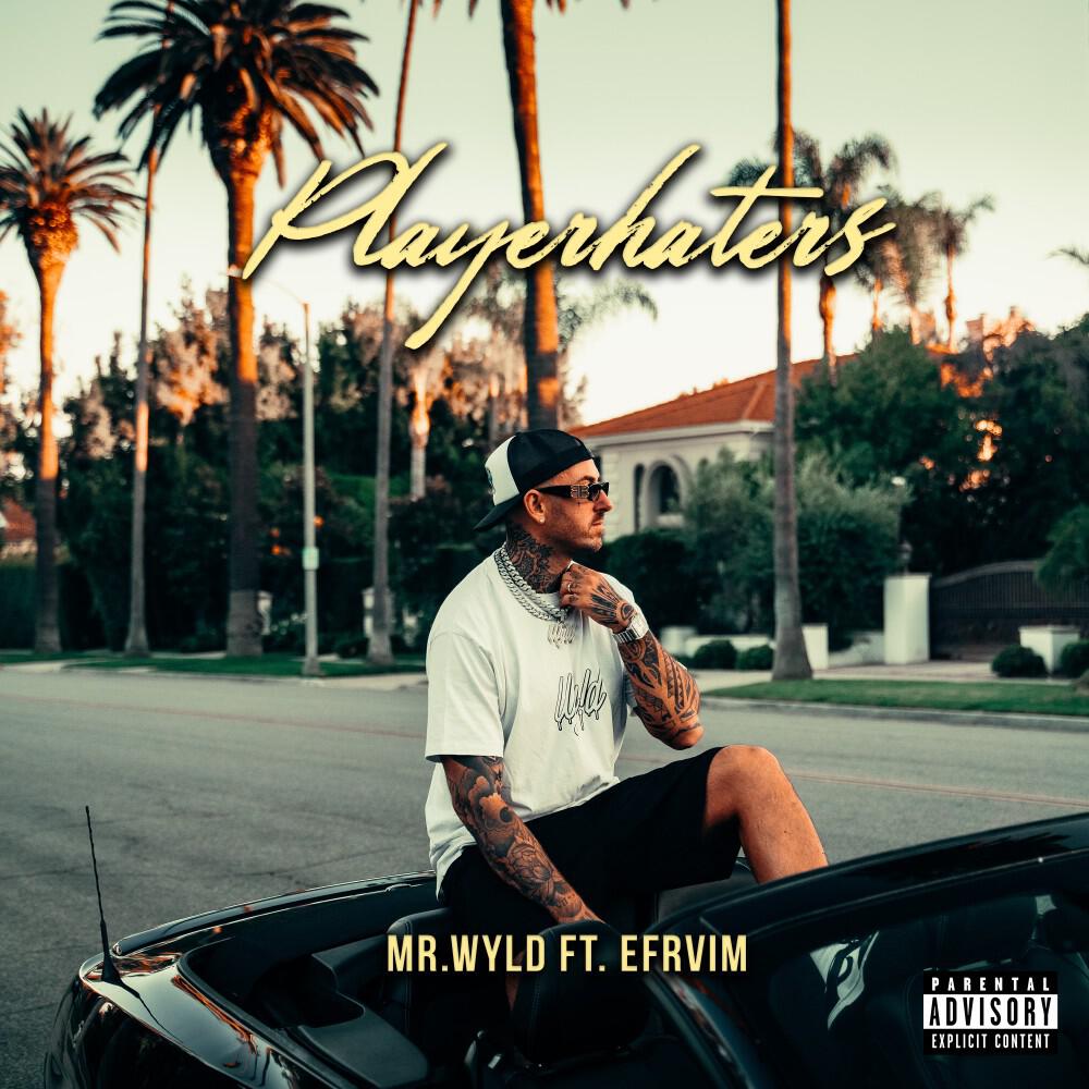 Релиз Playerhater