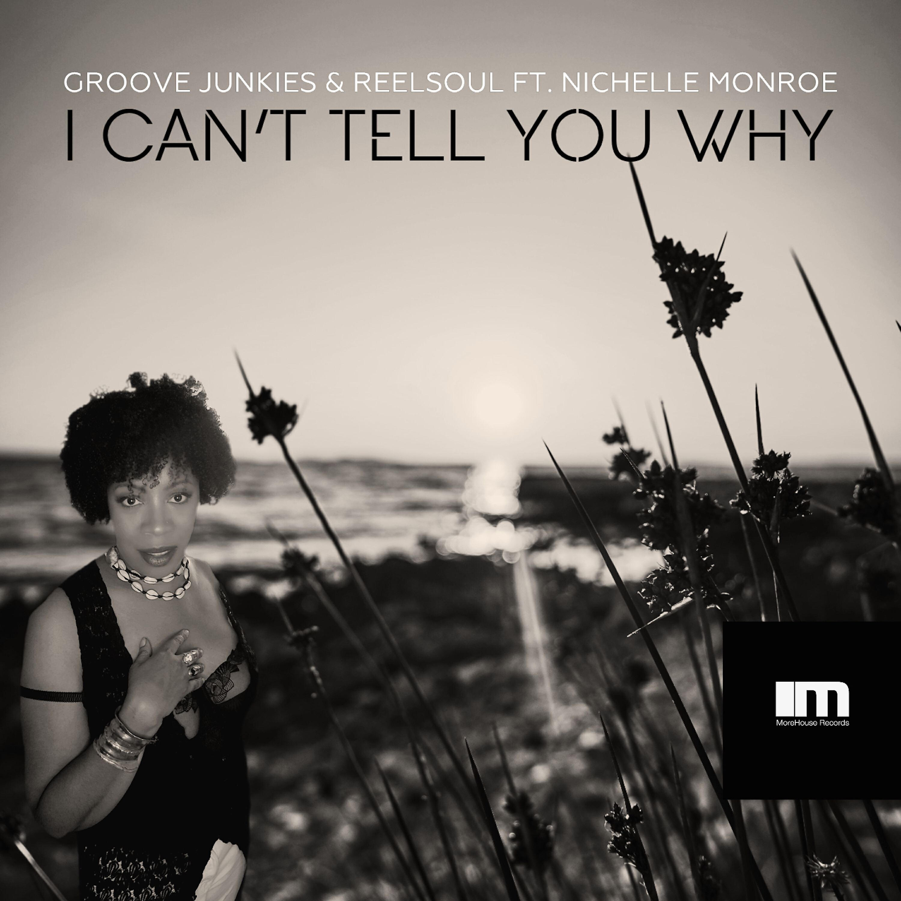 Релиз I Can't Tell You Why (Groove n' Soul Mixes)