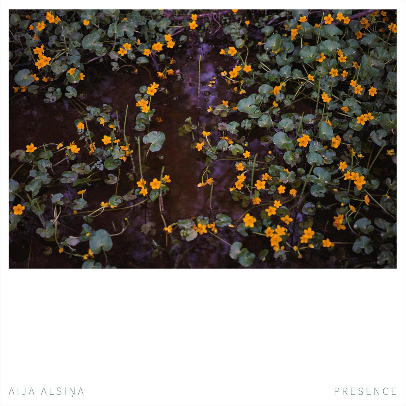 Релиз Presence