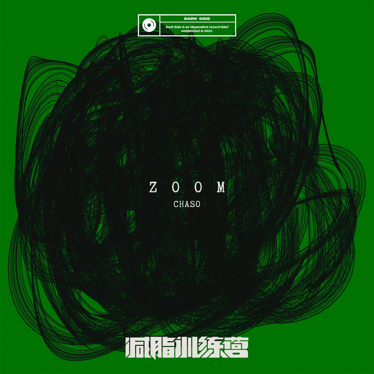 Релиз ZOOM