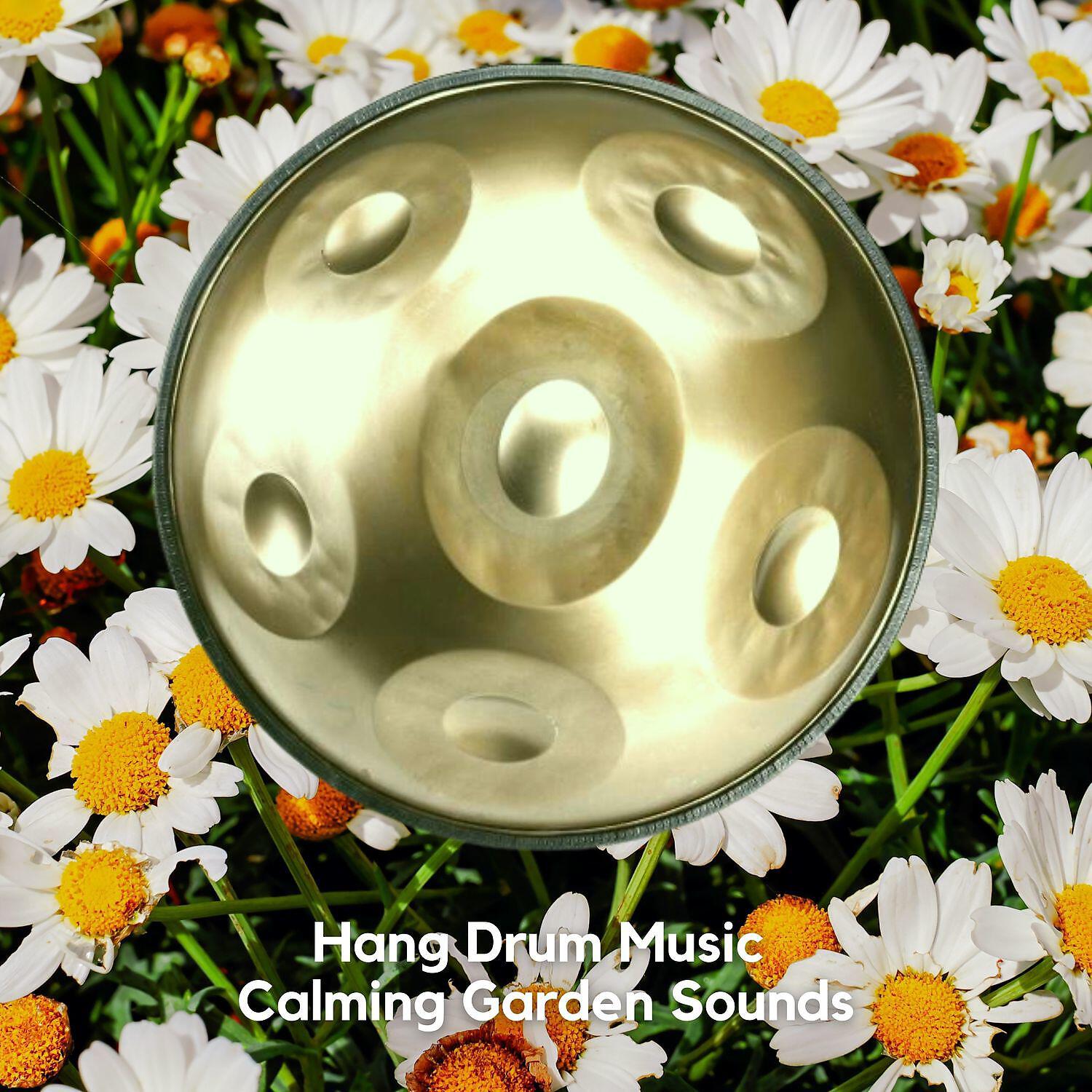 Релиз Hang Drum Music and Calming Garden Sounds