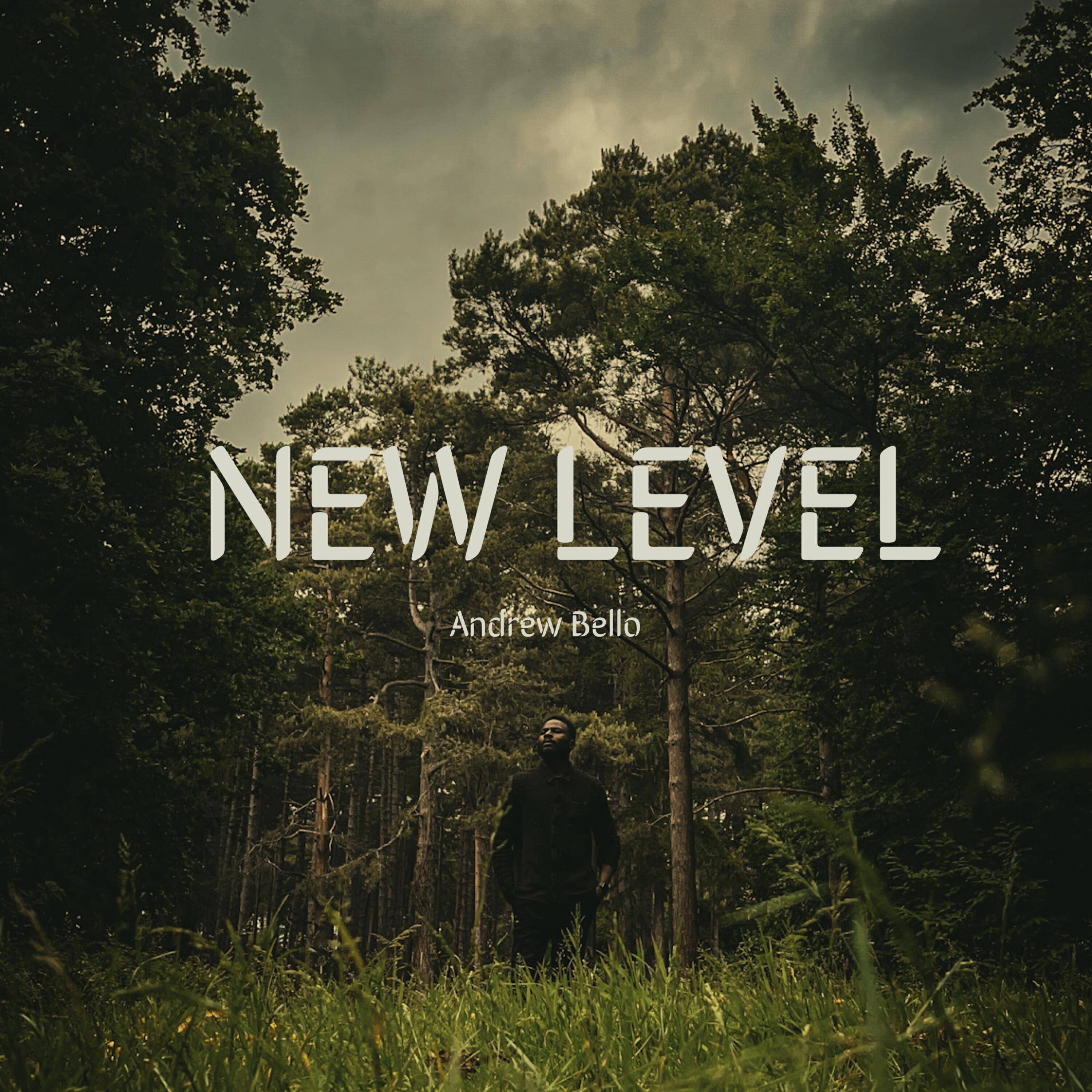 Релиз New Level