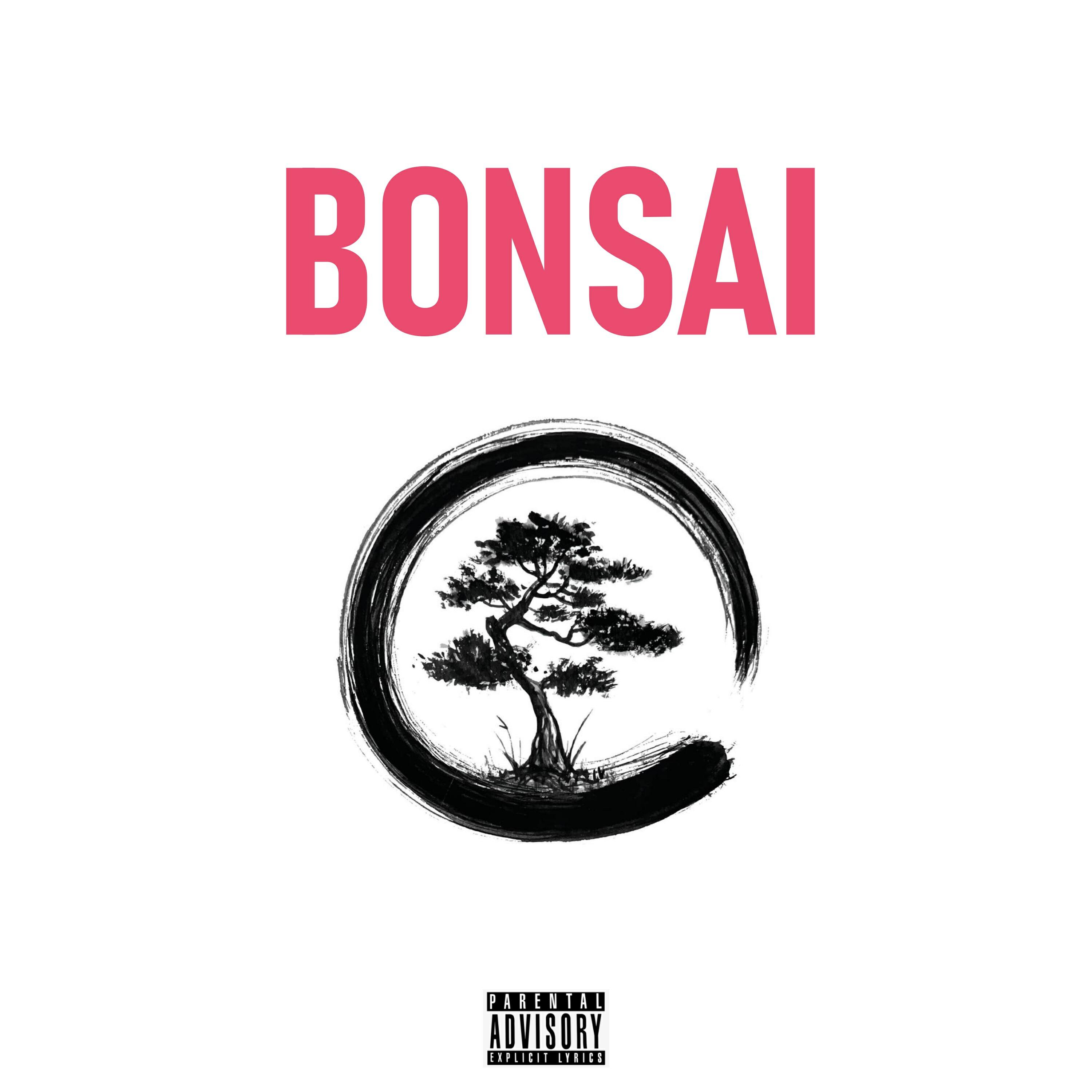 Релиз Bonsai
