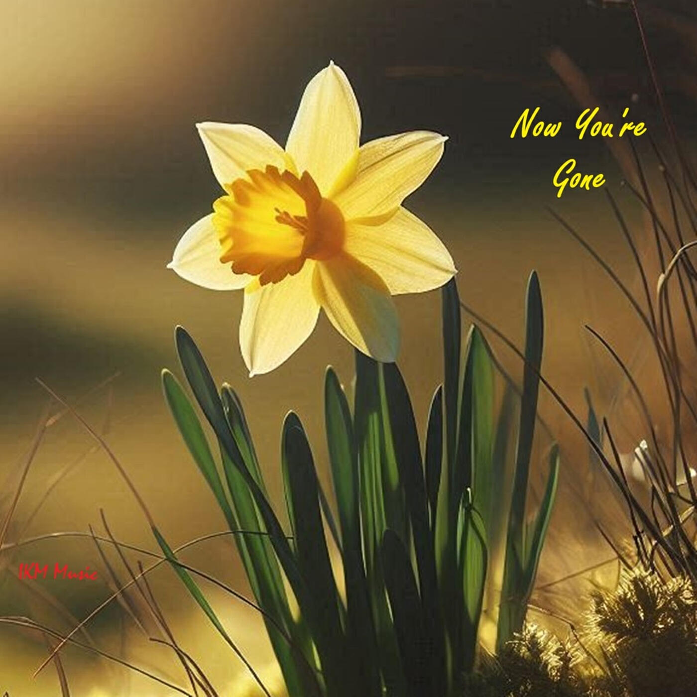 Релиз Now You're Gone