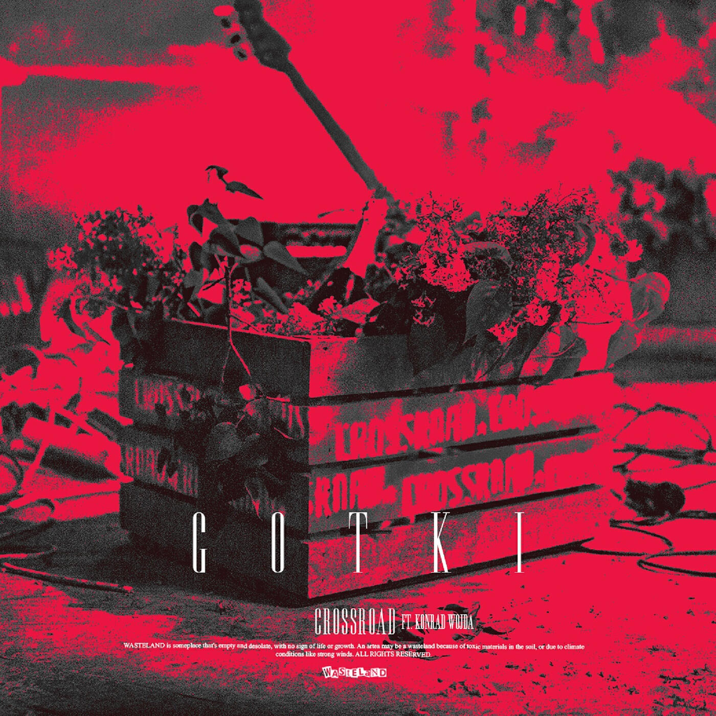 Релиз Gotki