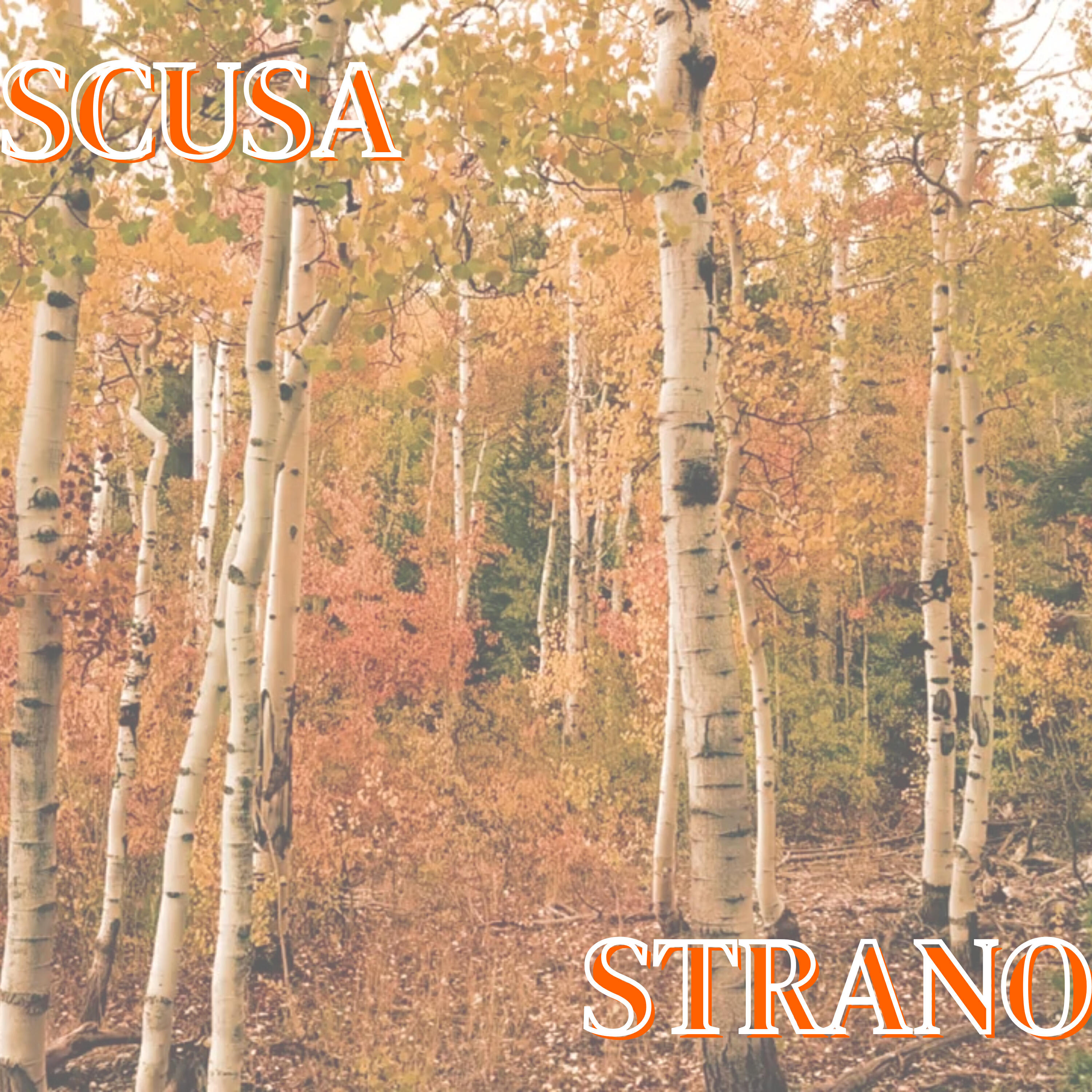 Релиз Scusa