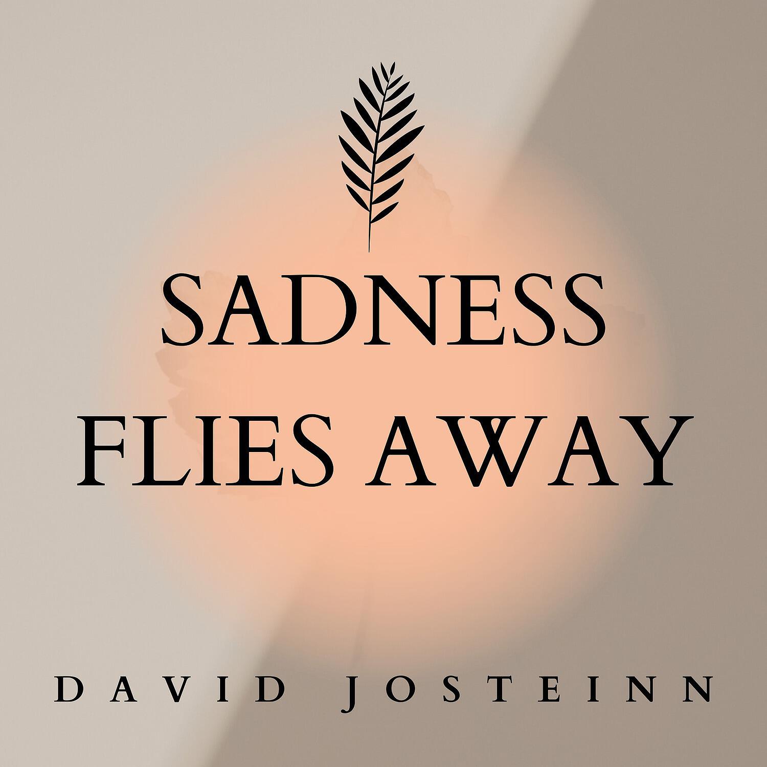 Релиз Sadness Flies Away
