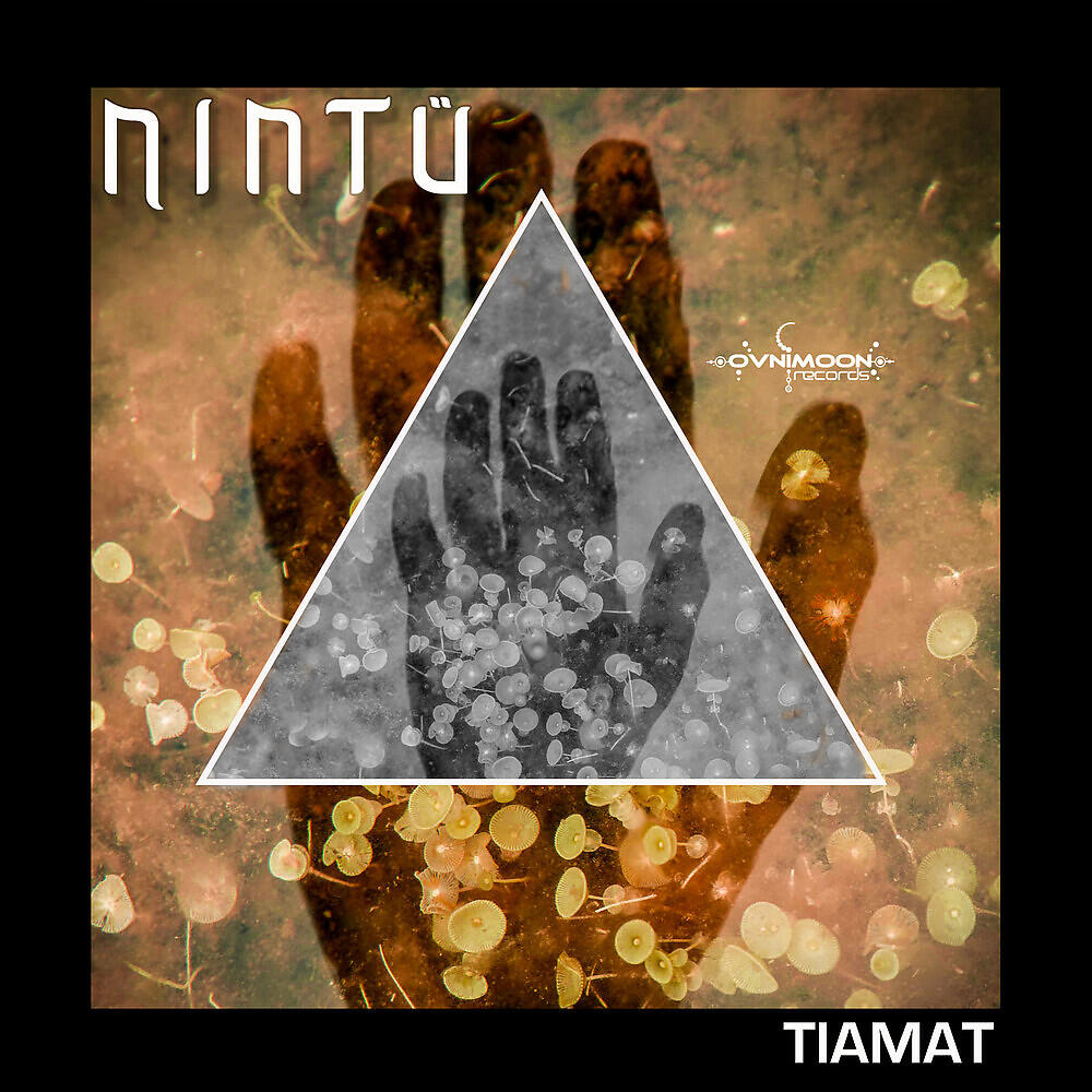 Релиз Tiamat