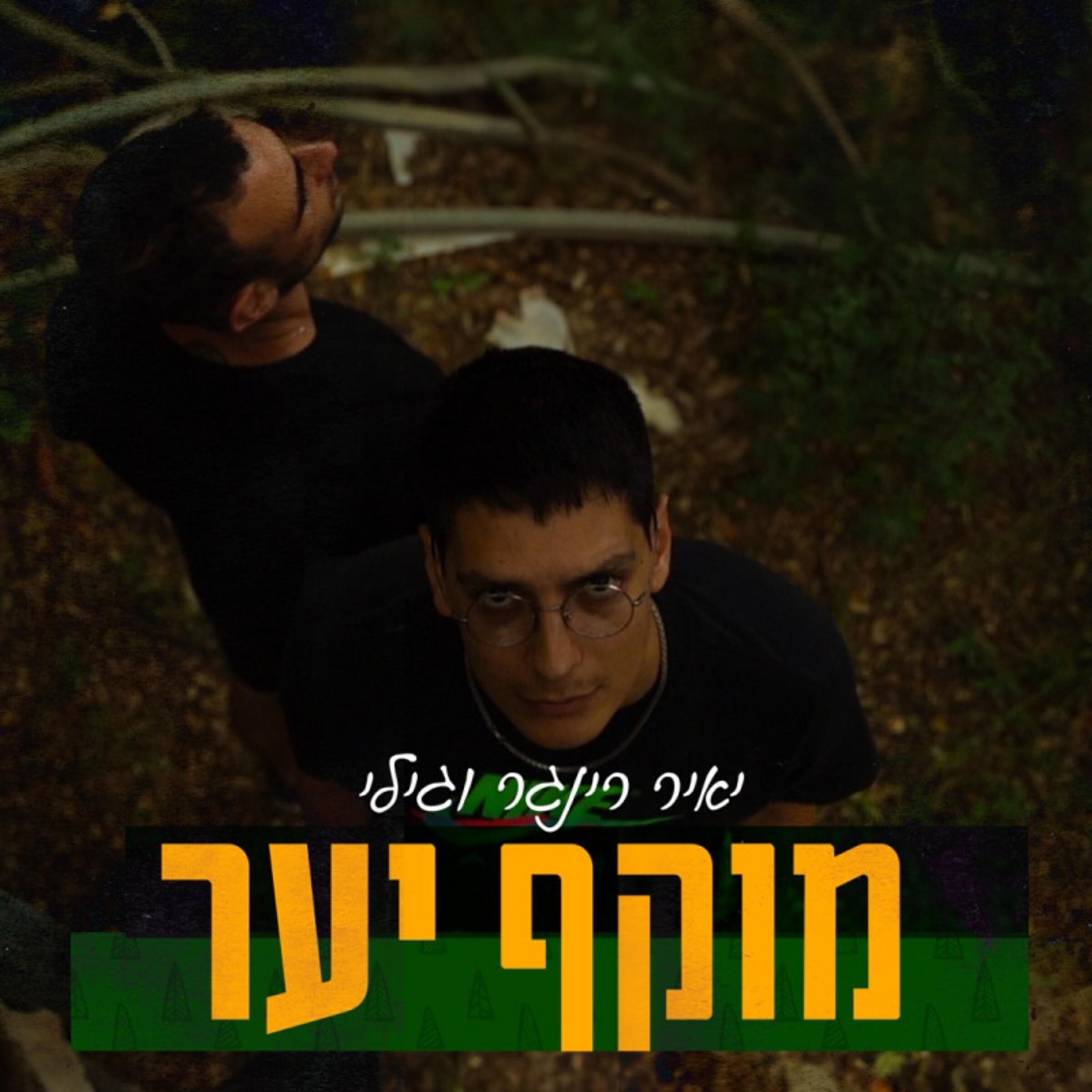 יאיר רינגר