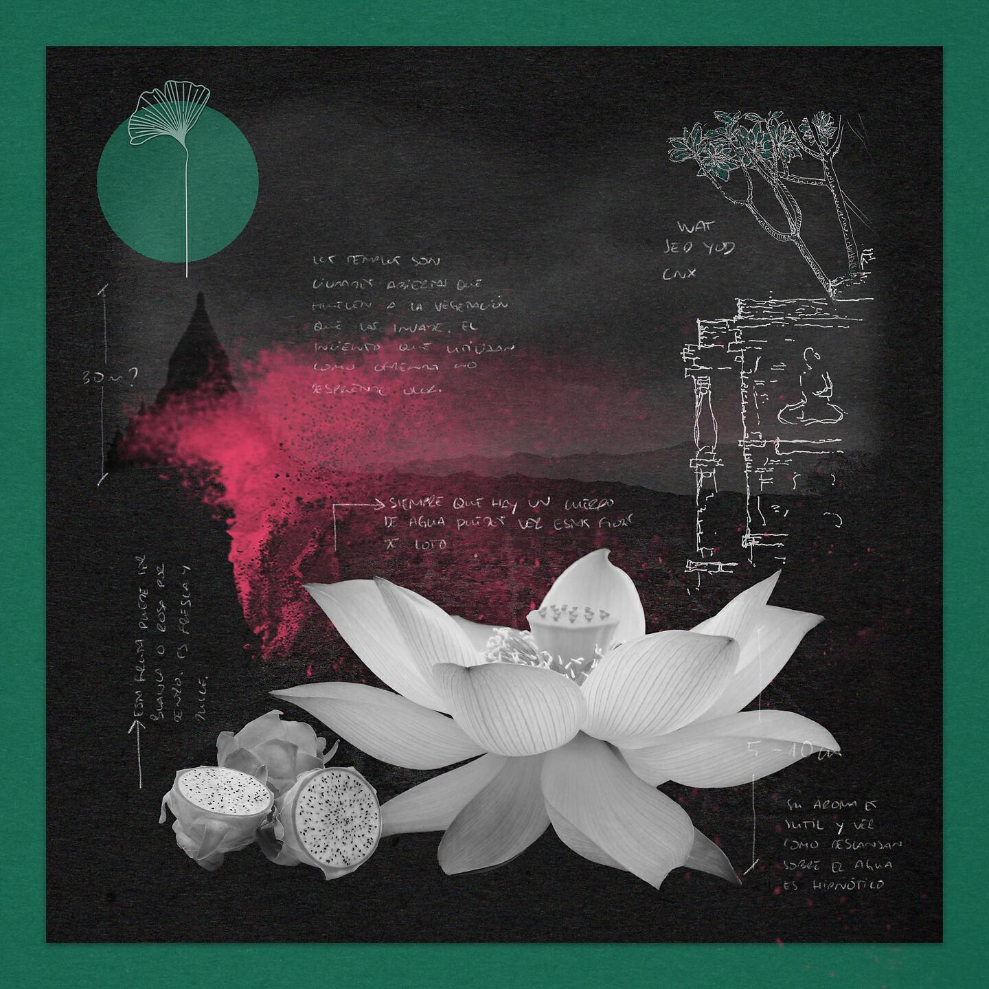Релиз Stay