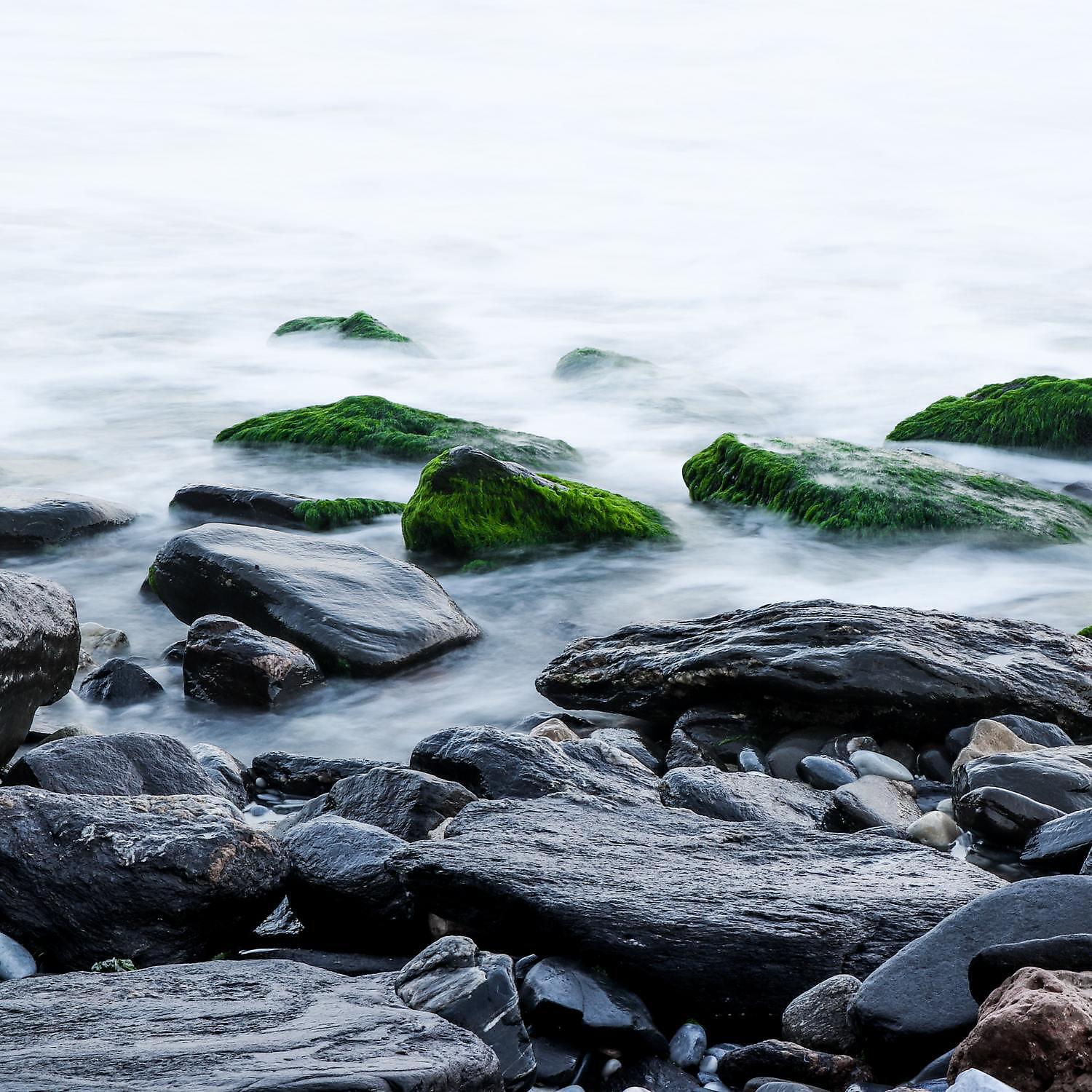 Релиз скромные шумы дождя