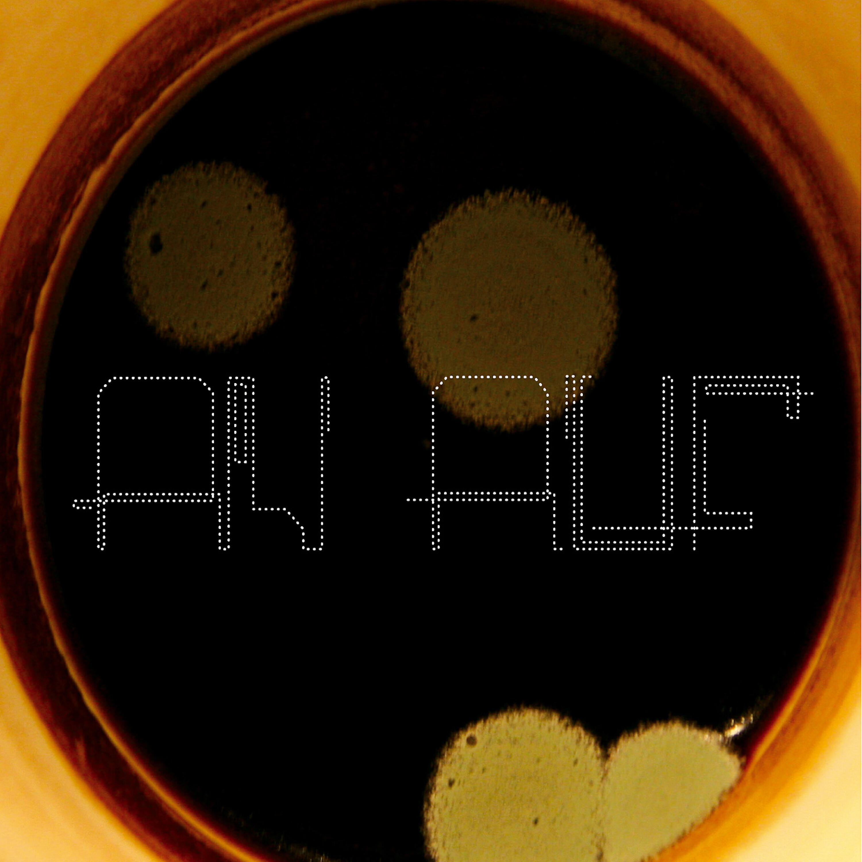 Релиз An Auf
