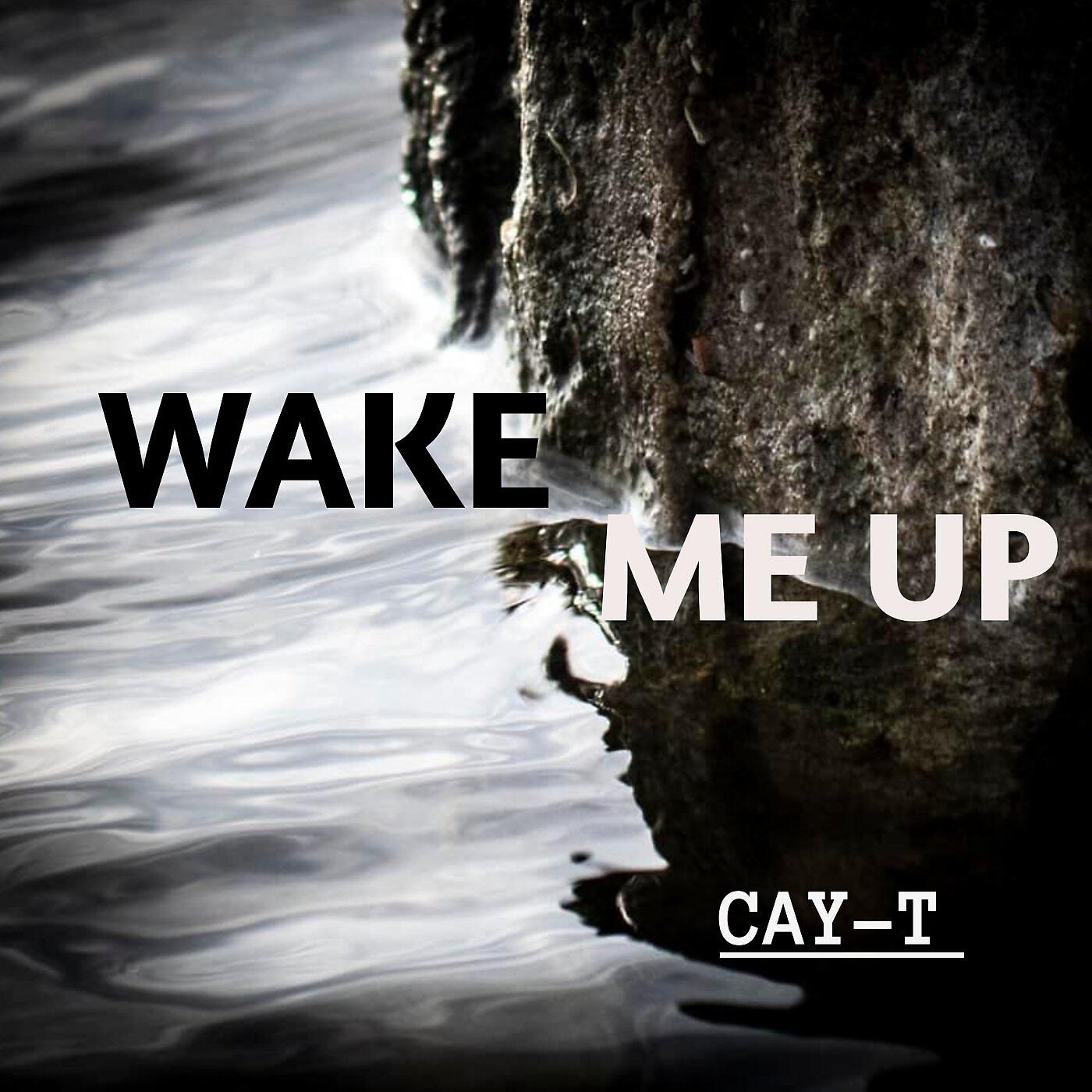 Релиз Wake me up