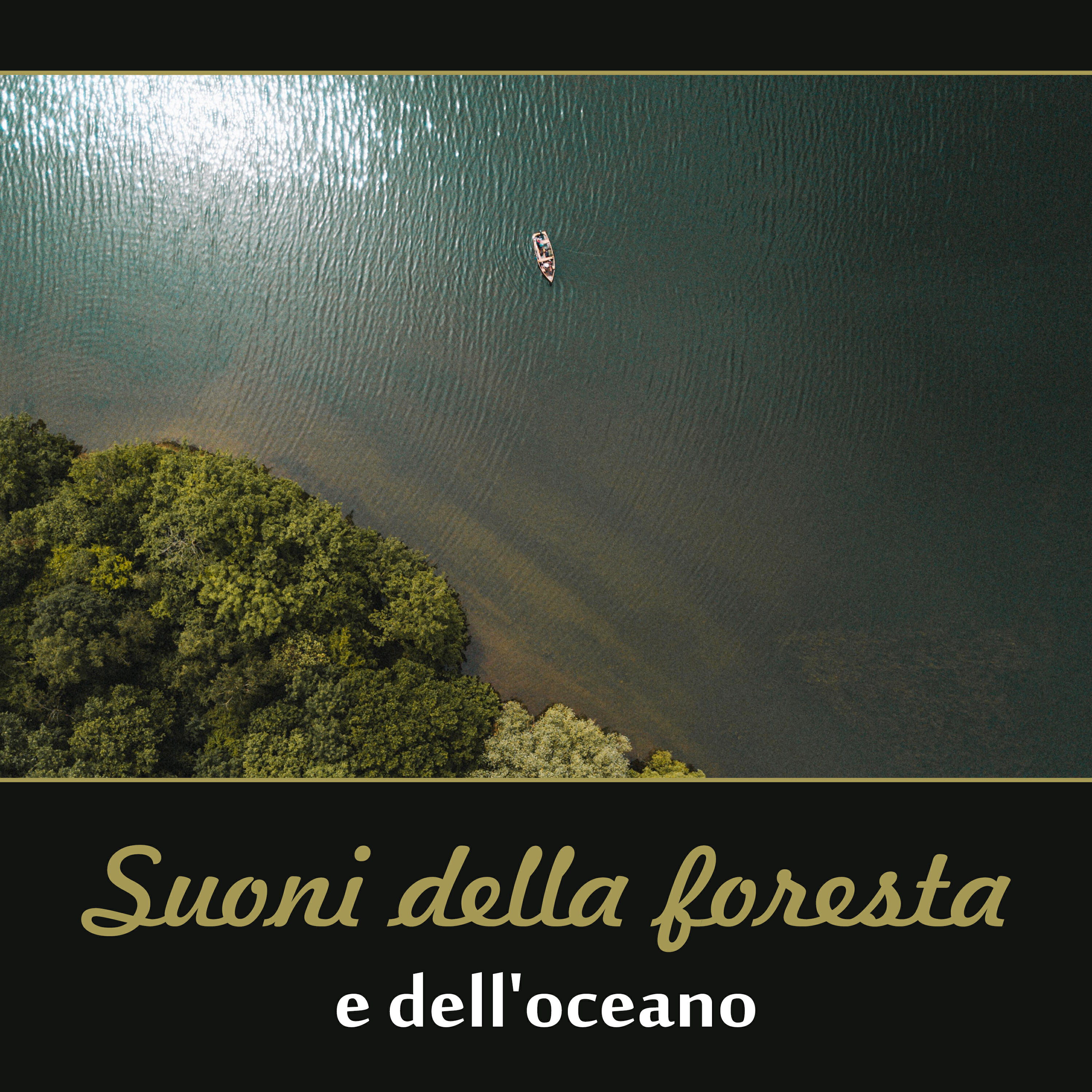 Релиз Suoni della foresta e dell'oceano - Musica rilassante per lo yoga, la meditazione, la spa, il sonno profondo e lo studio