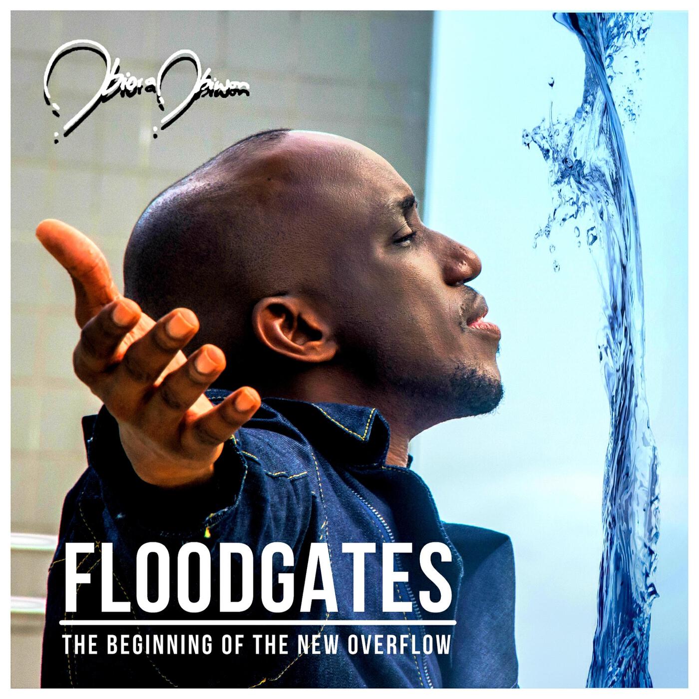 Релиз Floodgates: The Beginning of the New Overflow