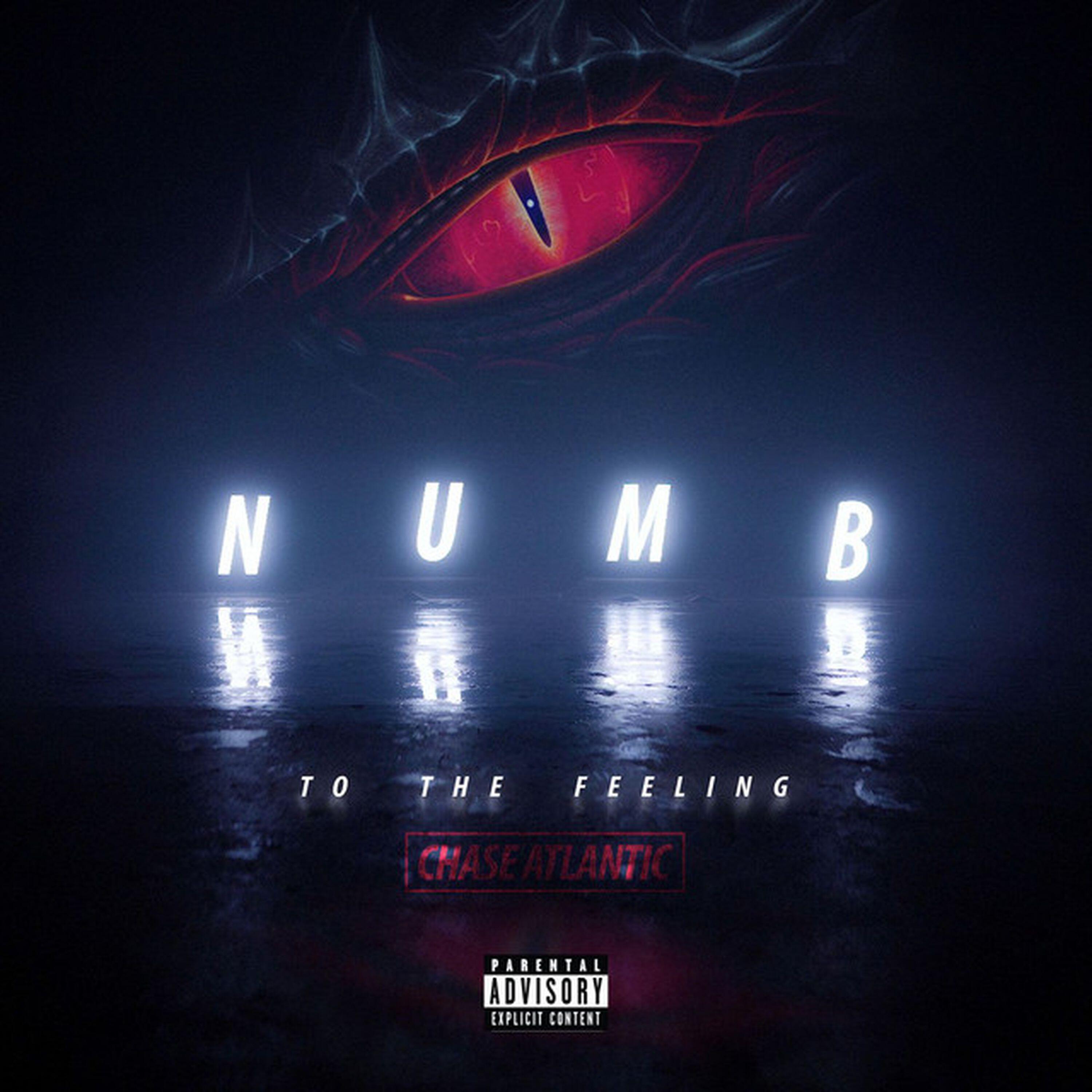 Релиз Numb to the Feeling