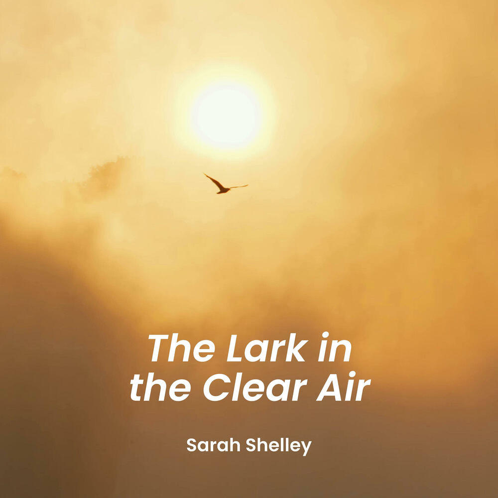 Релиз The Lark in the Clear Air