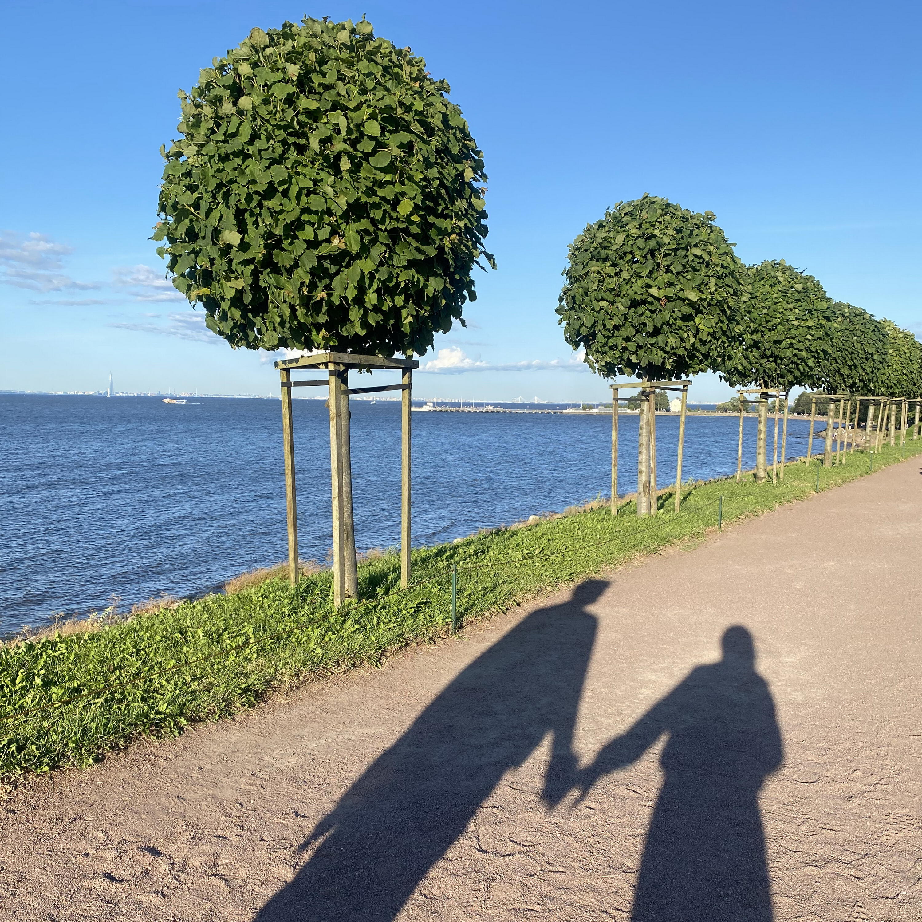 BOROVIK