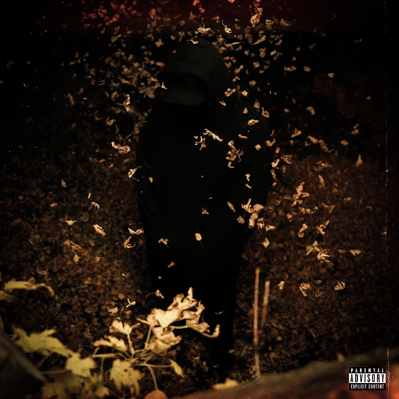 Релиз How Would You Know