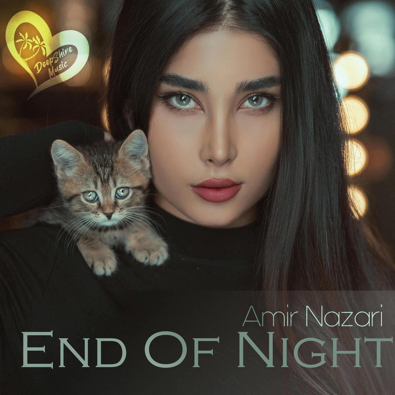 Релиз End Of Night