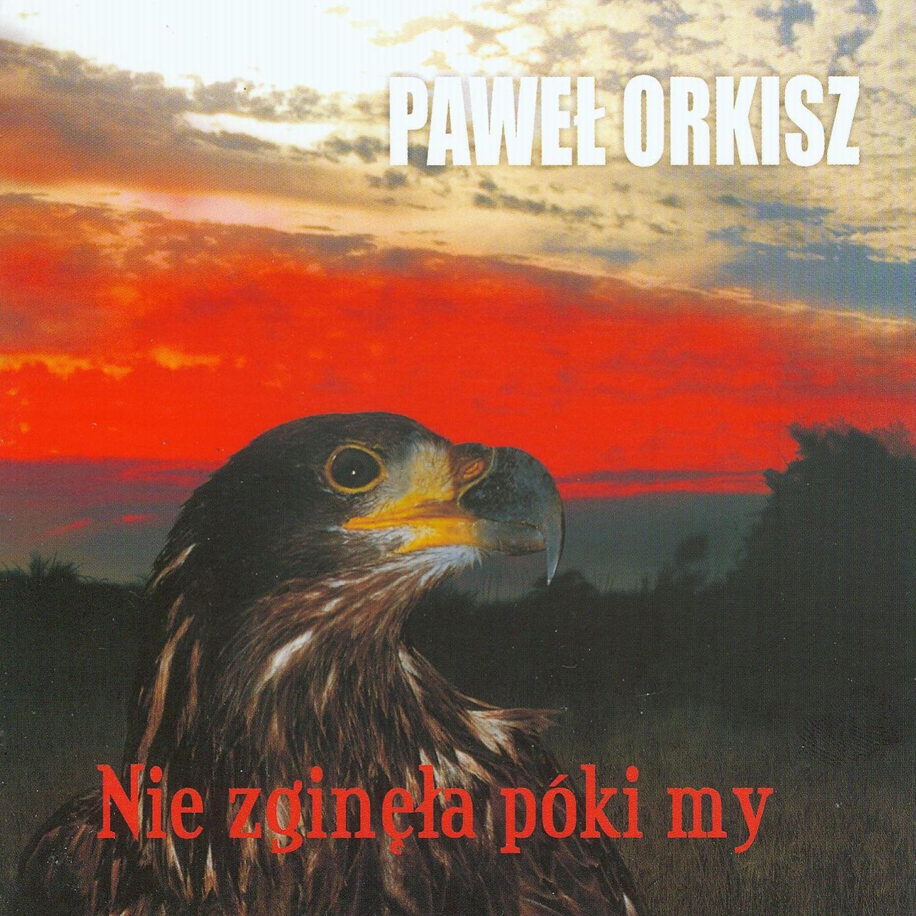 Релиз Nie Zginela Póki My