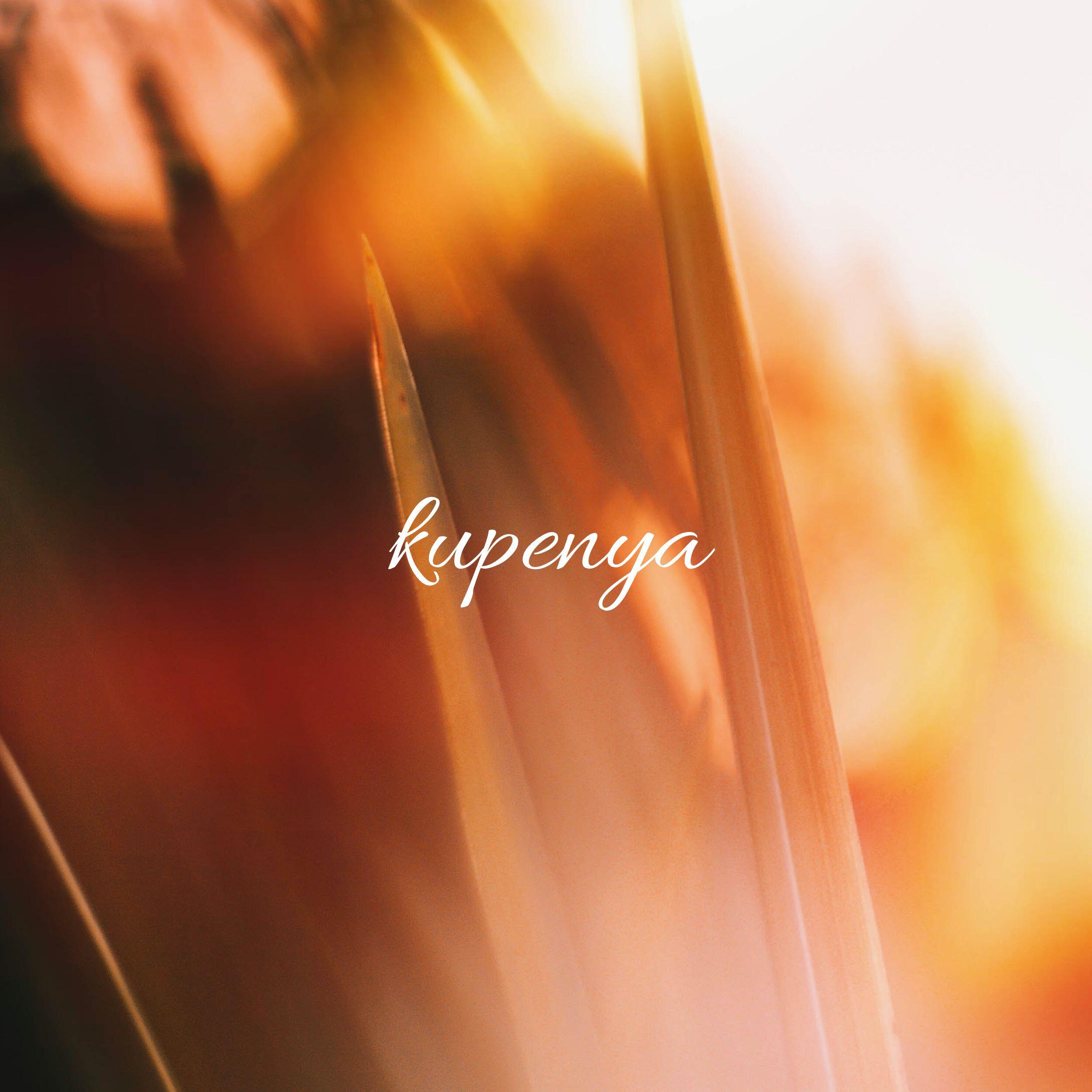 Релиз Kupenya