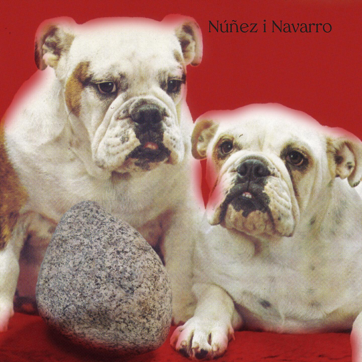 Релиз Núñez i Navarro