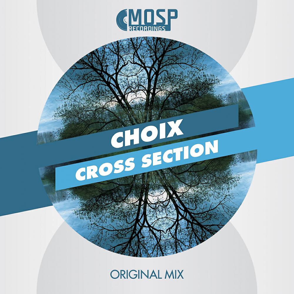 Релиз Cross Section