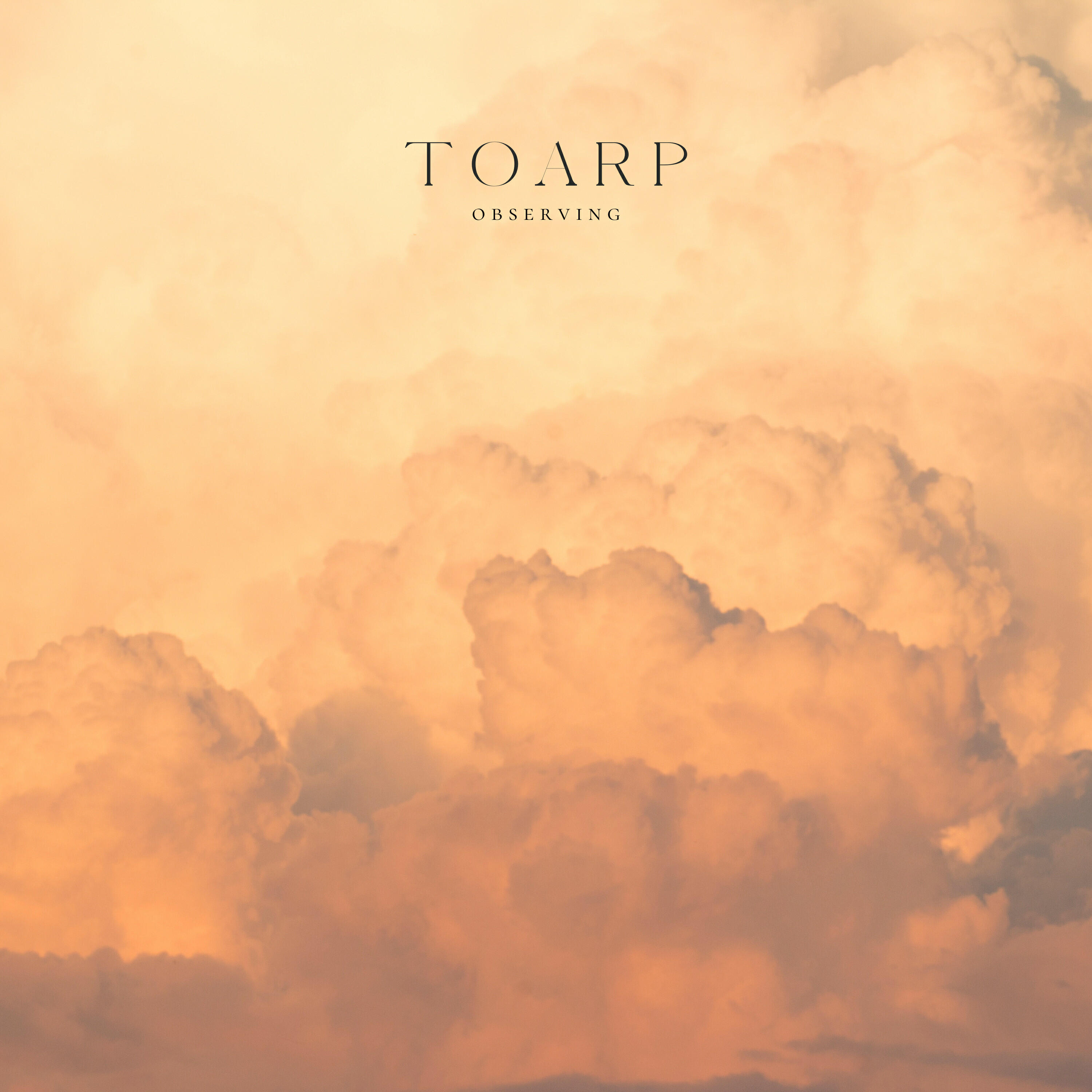 Toarp