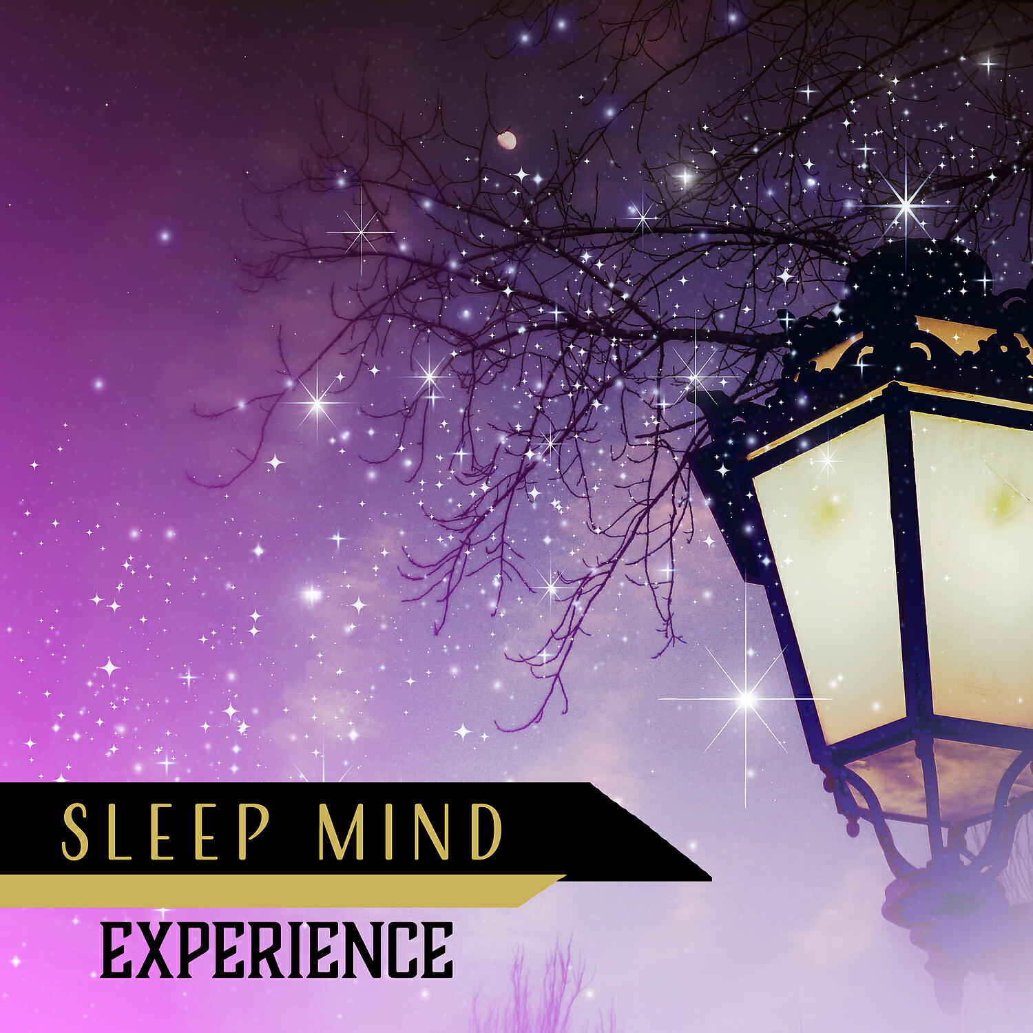 Релиз Sleep Mind Experience: Dreamy Journey, Deep Sleep Meditation, Soft Music to Help You Fall Asleep, New Age for Insomnia