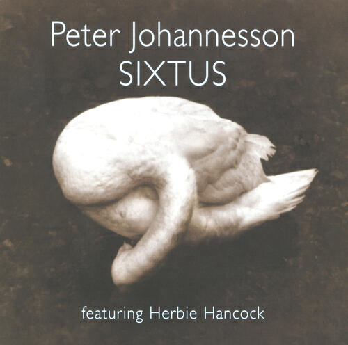 Релиз Sixtus