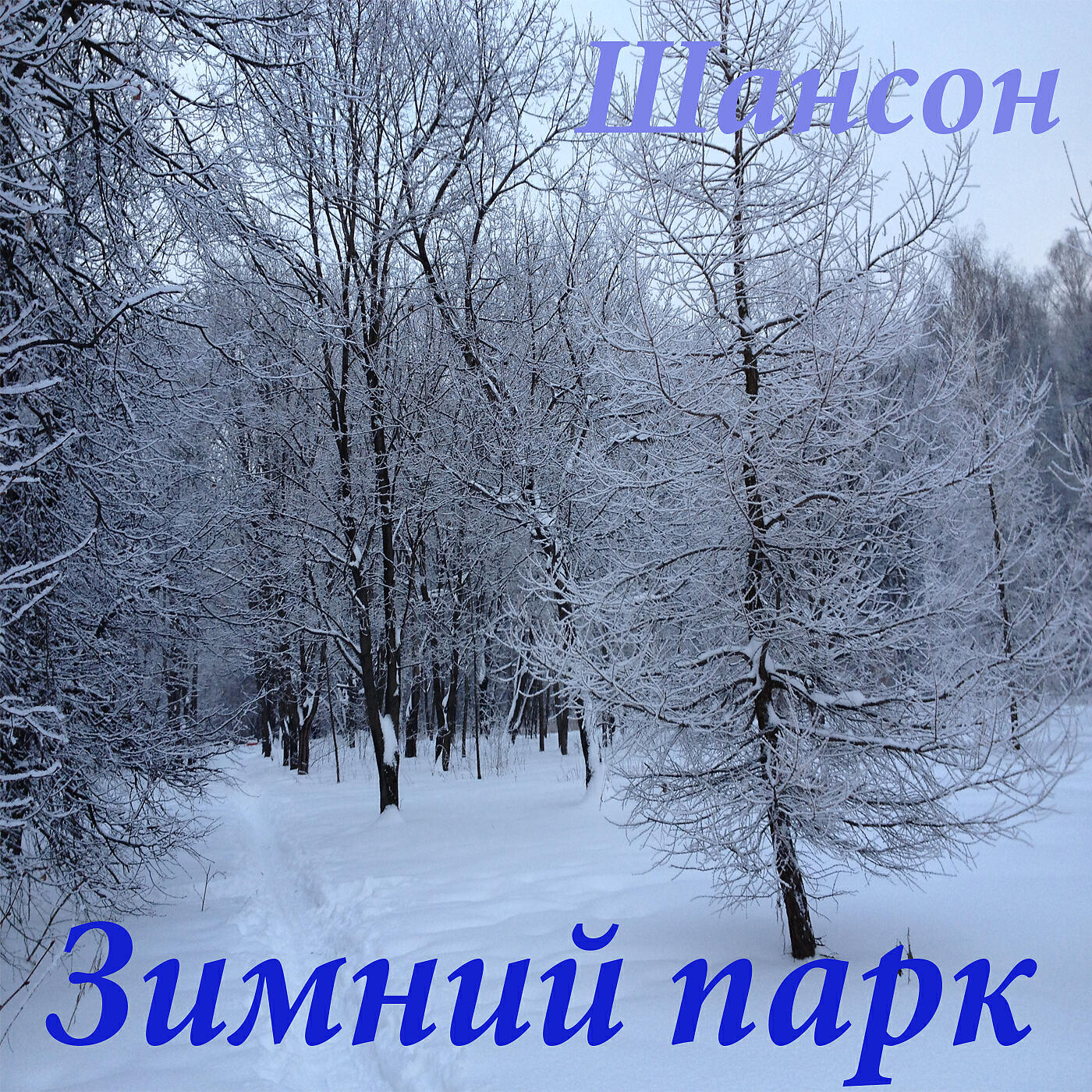 Постер альбома Зимний парк