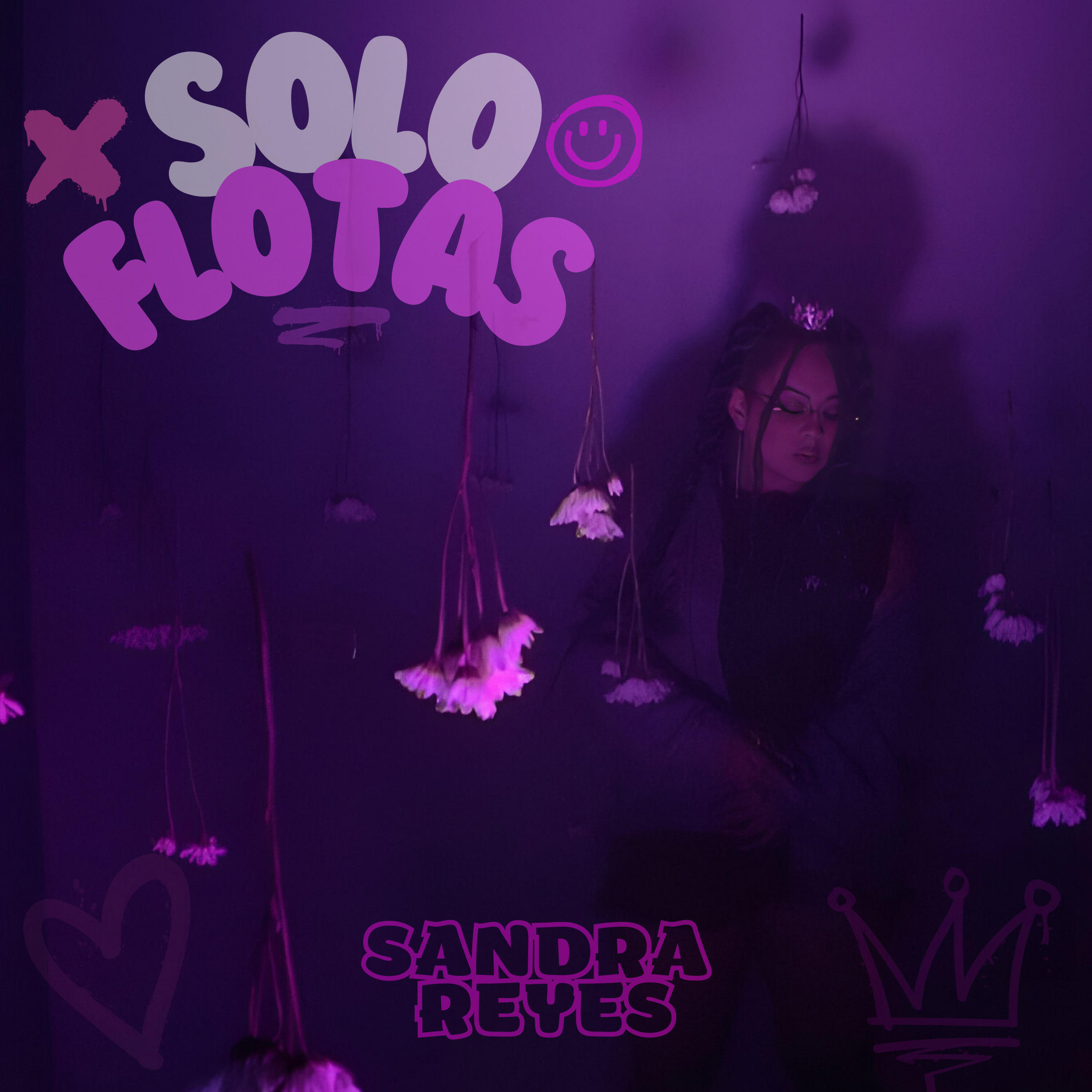 Релиз Solo Flotas