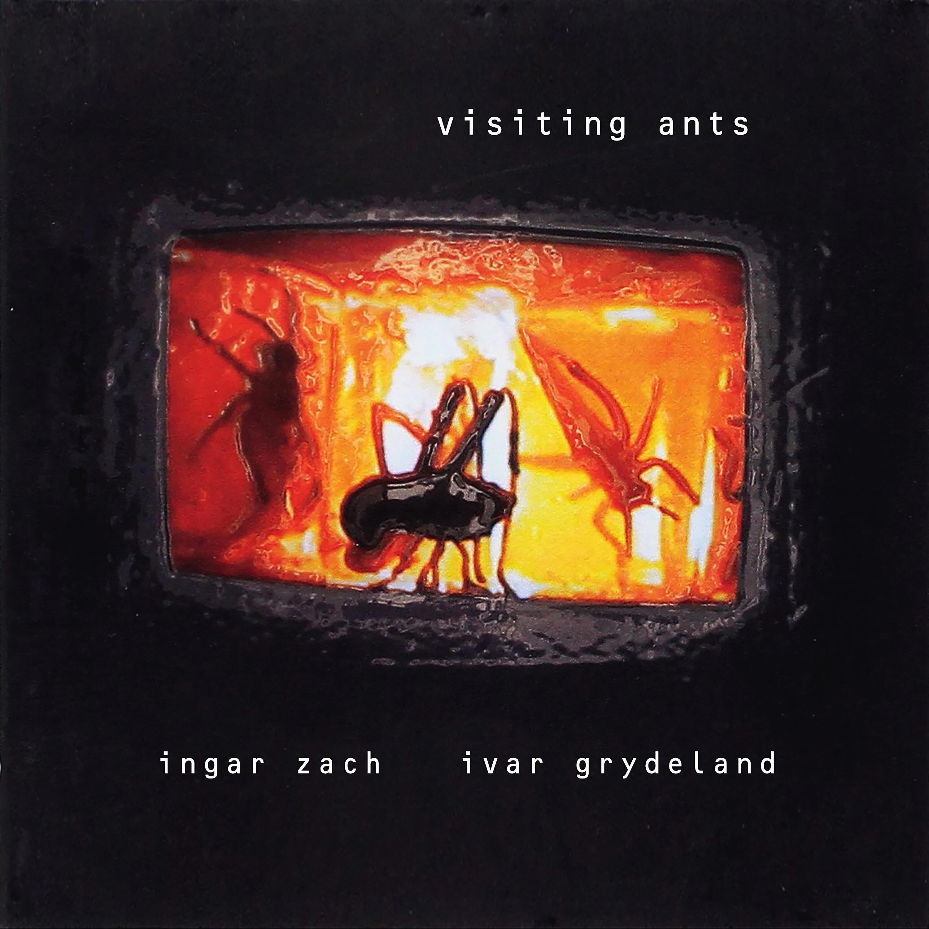 Релиз Visiting Ants