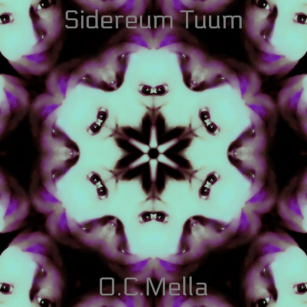 Релиз Sidereum Tuum