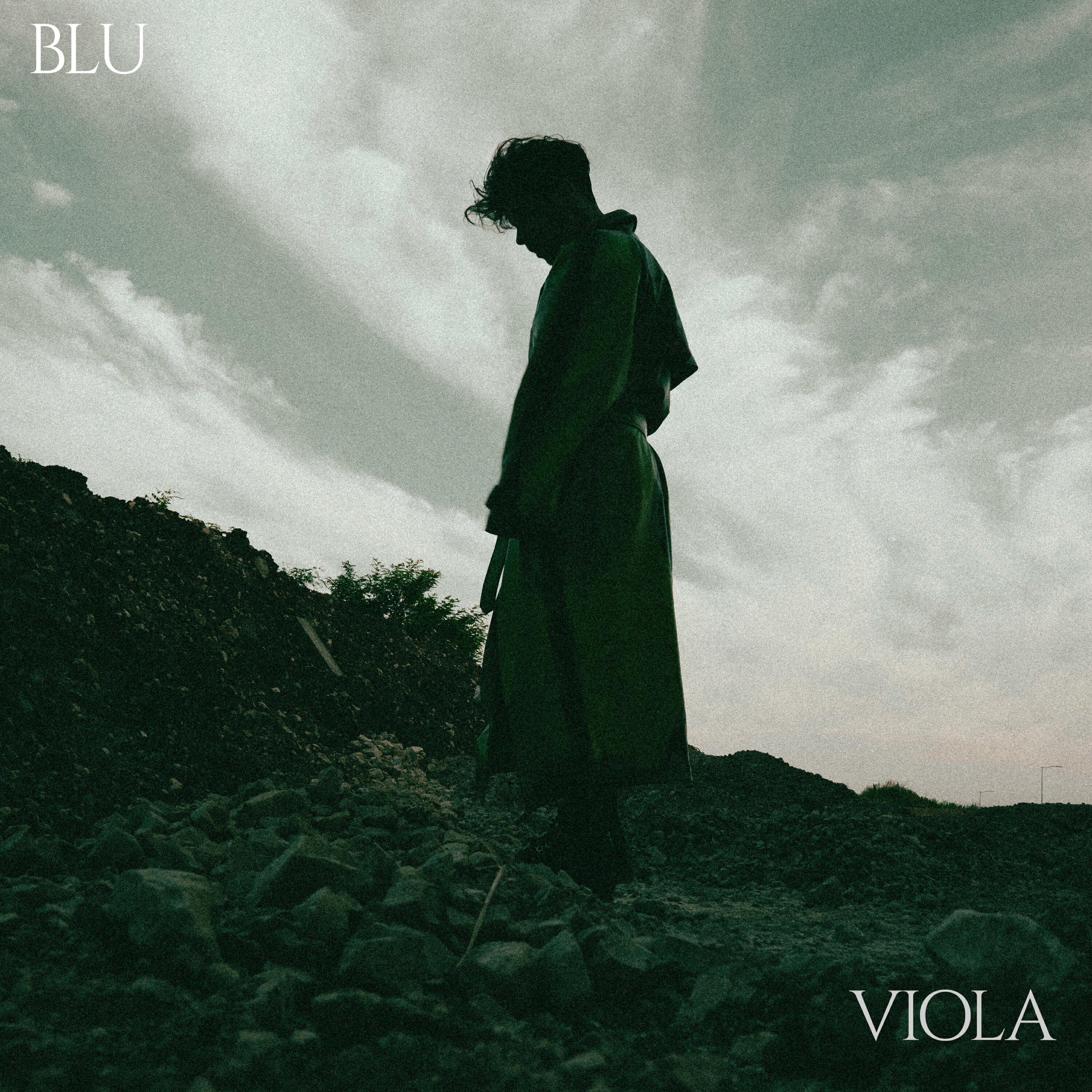 Релиз Blu Viola
