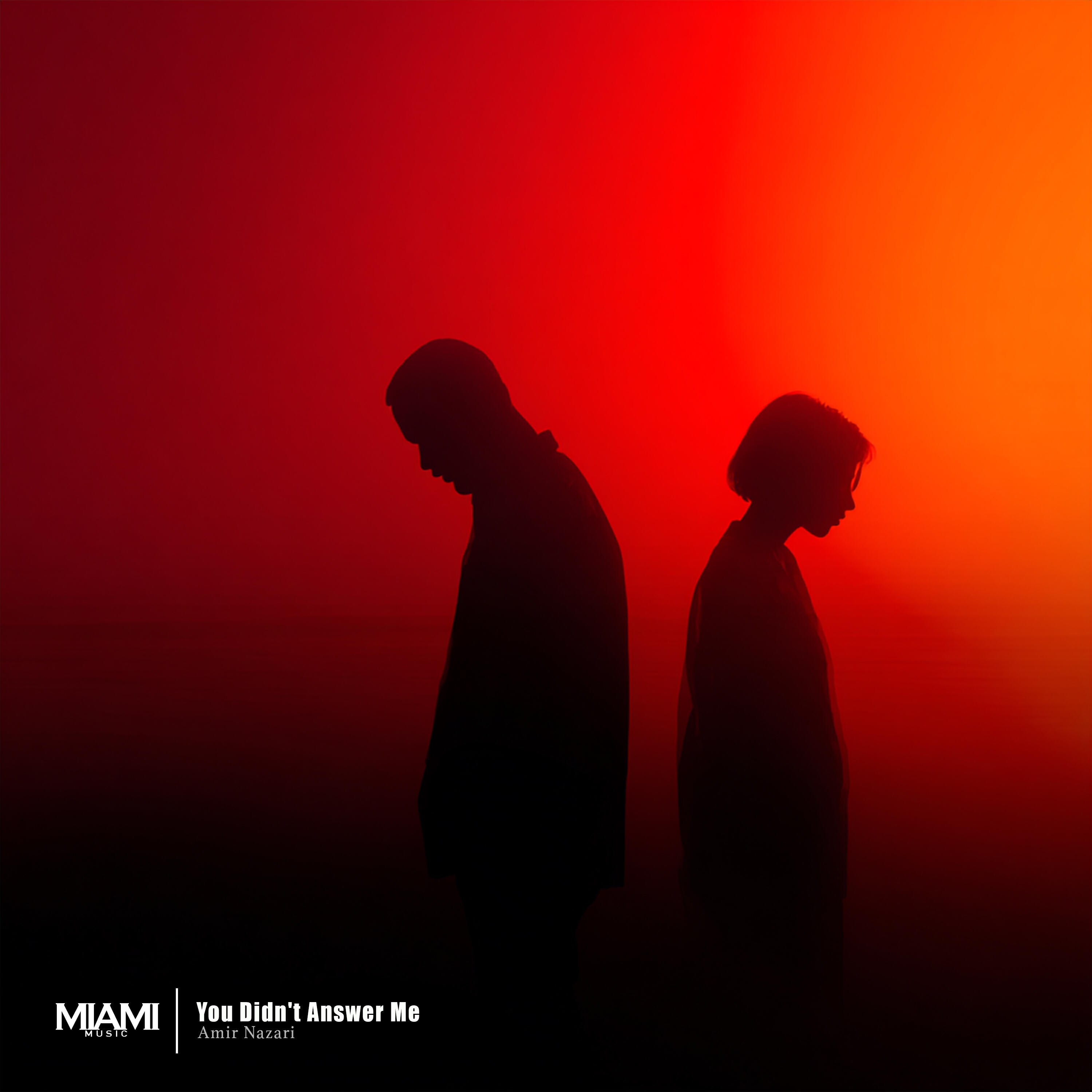 Релиз You Didn't Answer Me
