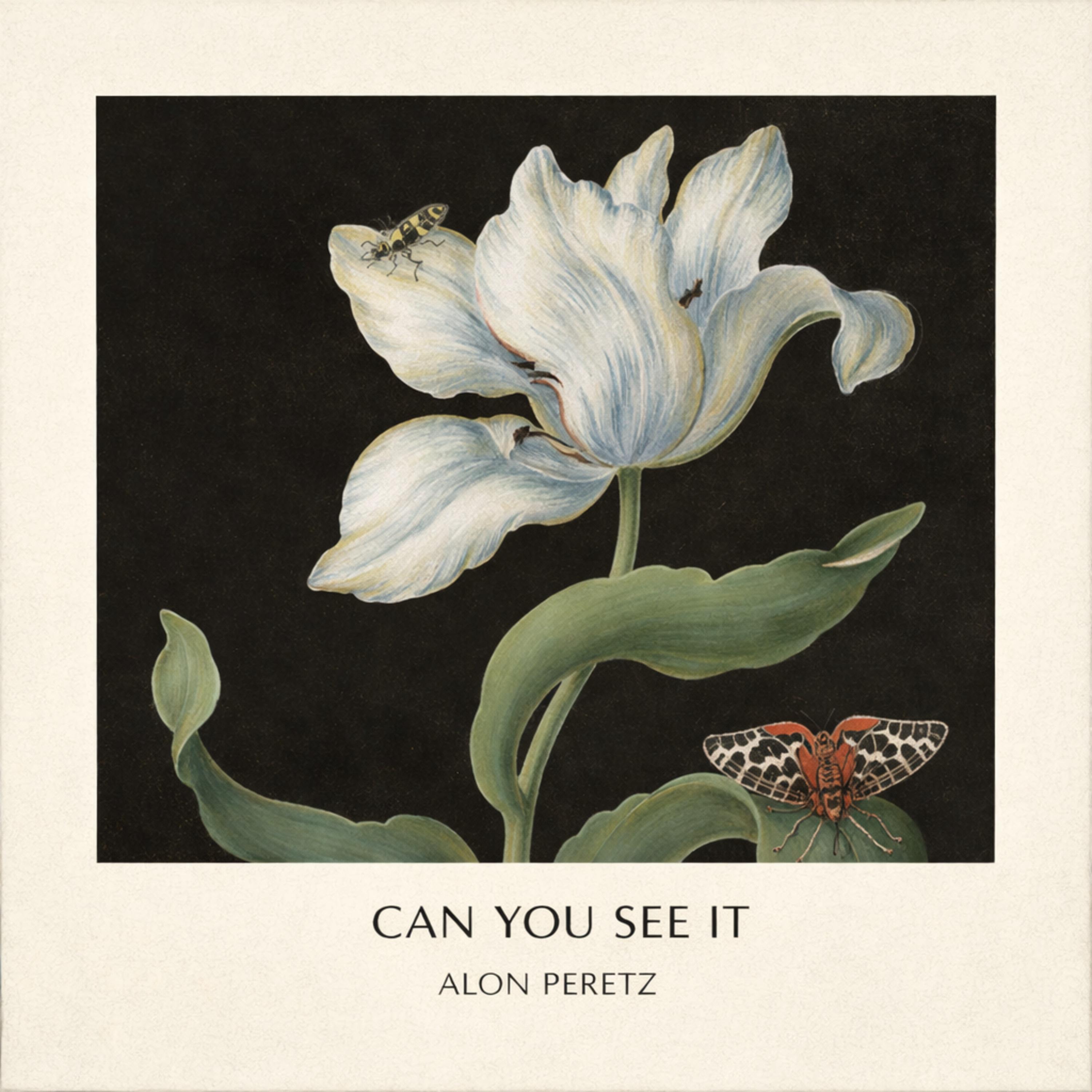 Релиз Can You See It