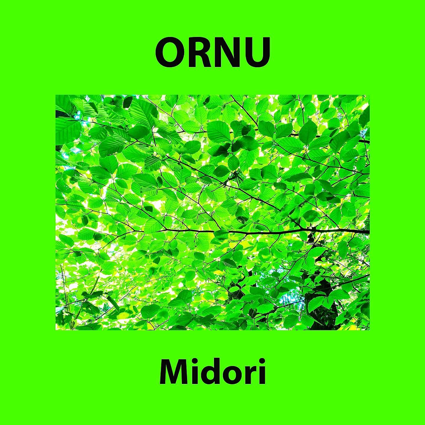 Релиз Midori