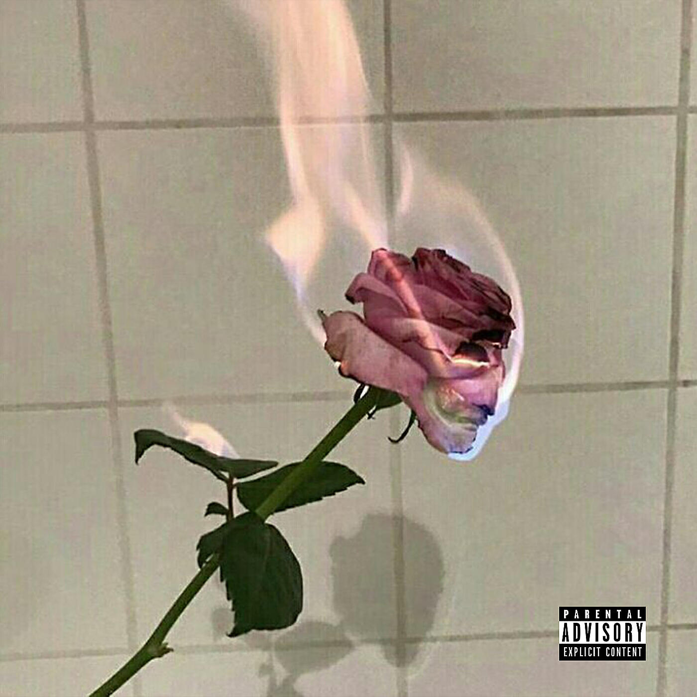 Релиз Te Voglio